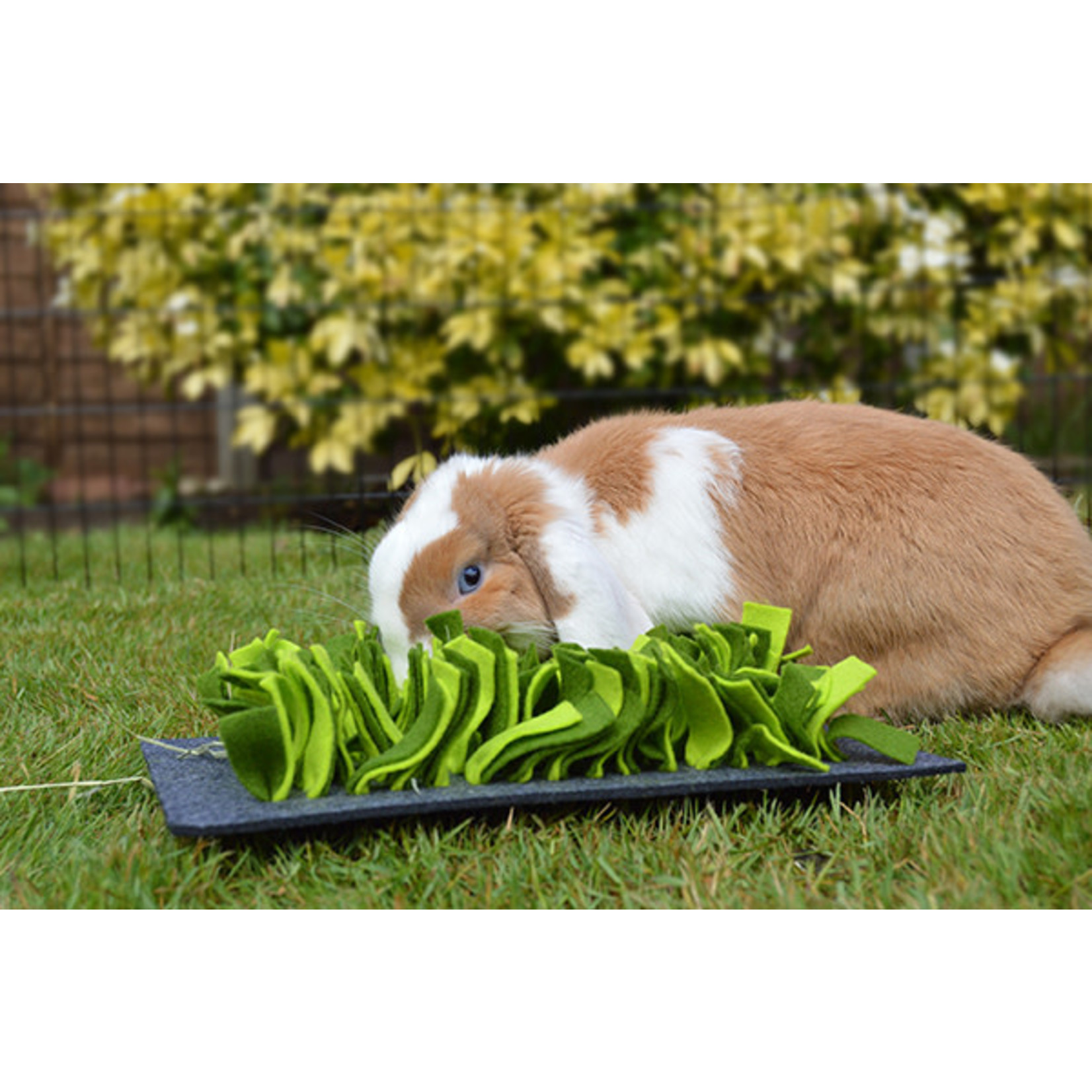 Rosewood Snuffle Forage Mat for Small Animals