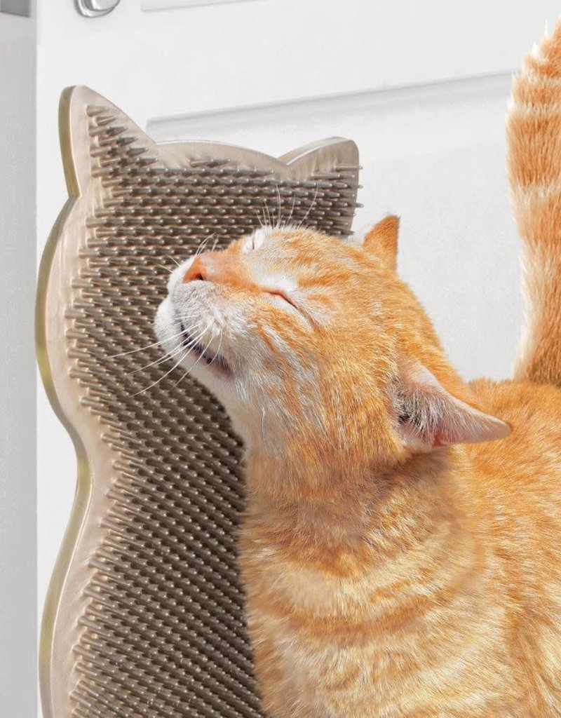 kong connects kitty comber