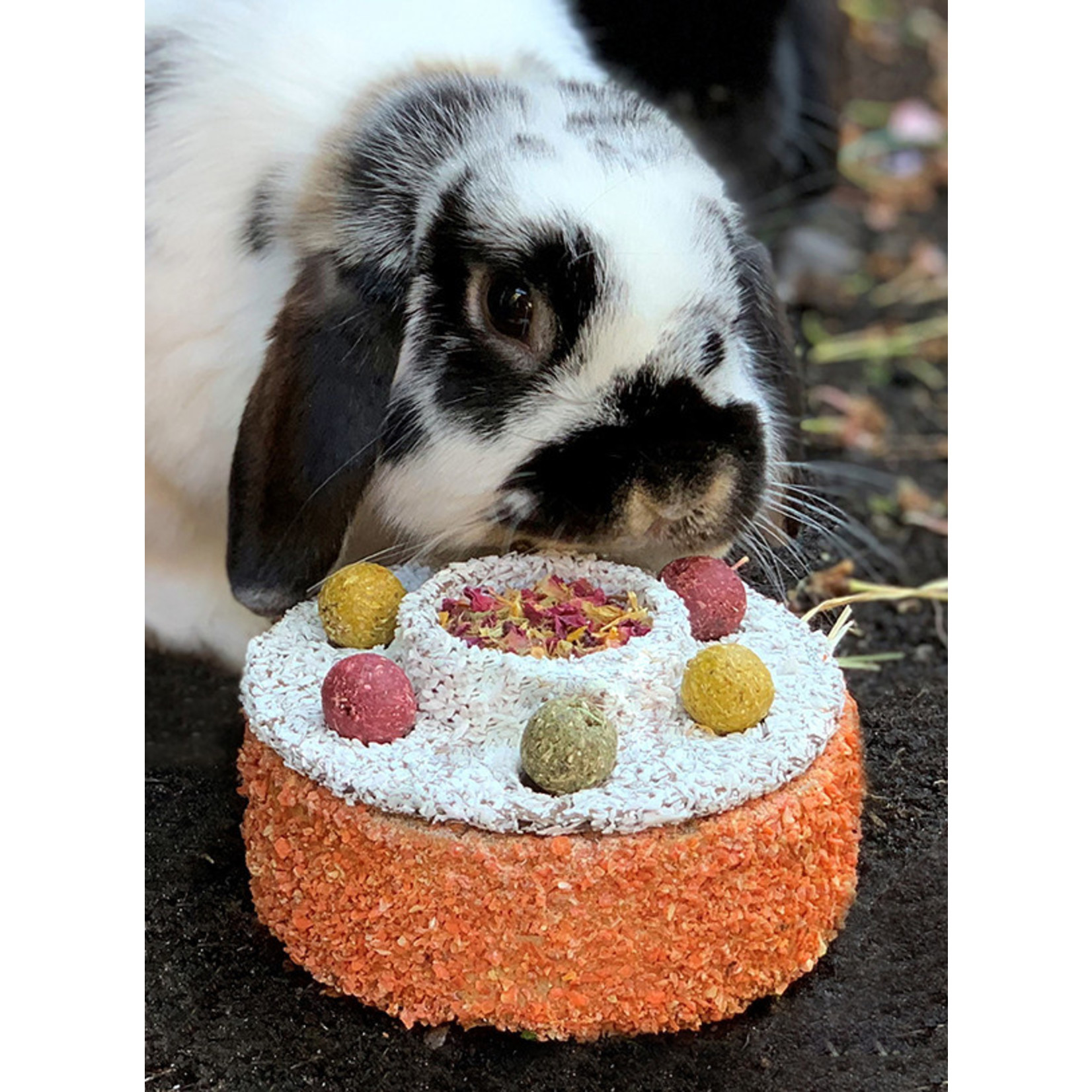 Rosewood Natural's Celebration Cake for Small Animals