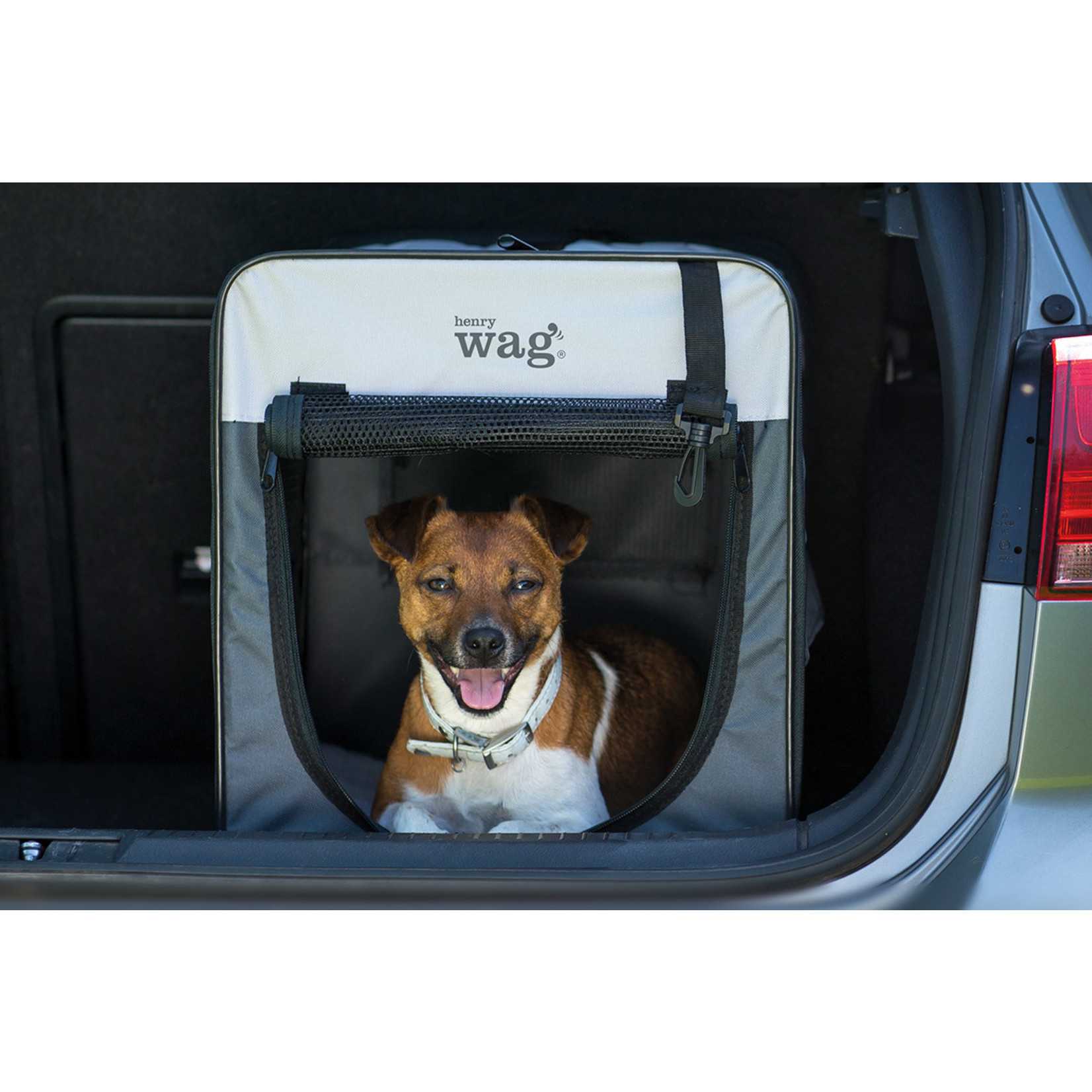 Travel crate hot sale for small dog