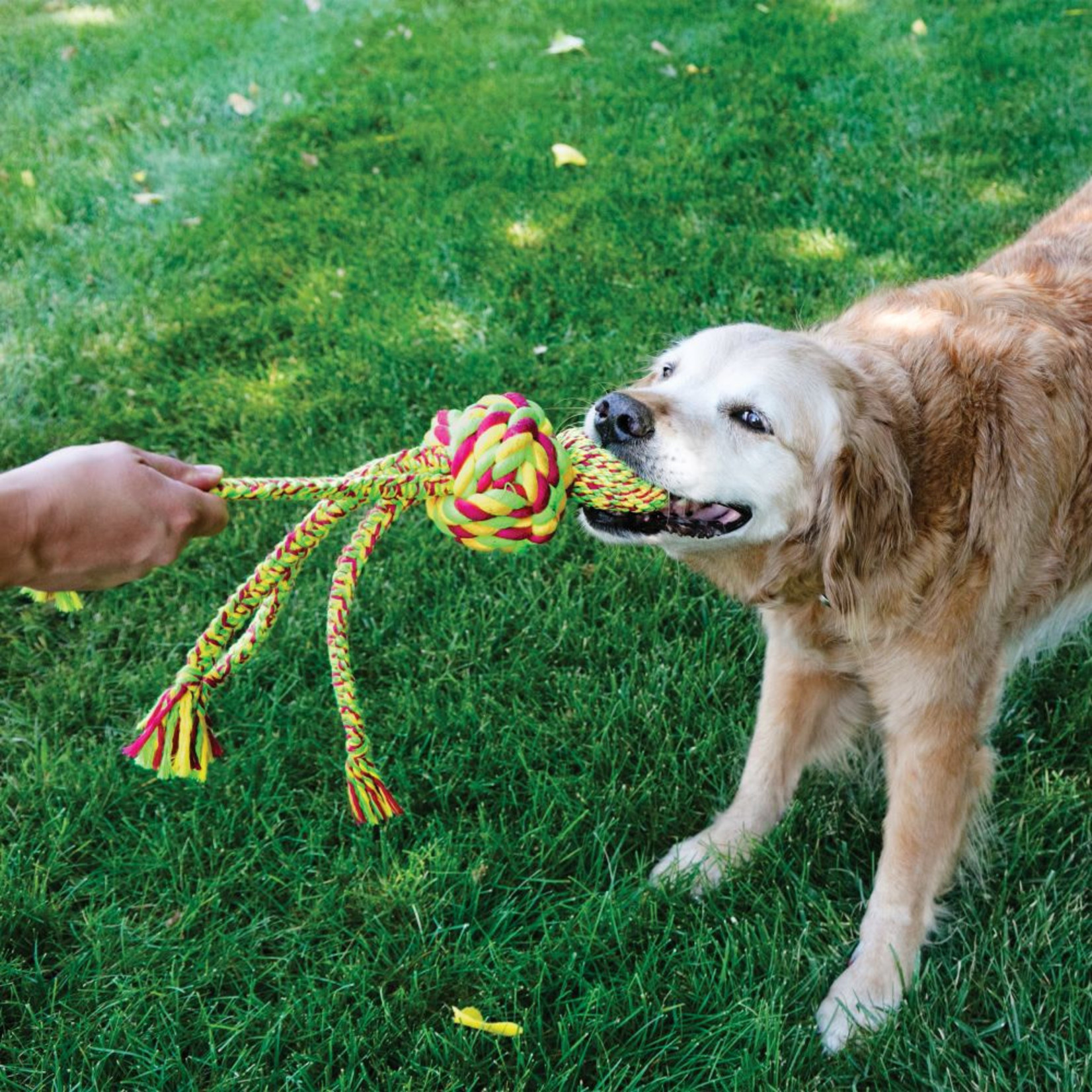 KONG Wubba Weaves Dog Toy with Rope