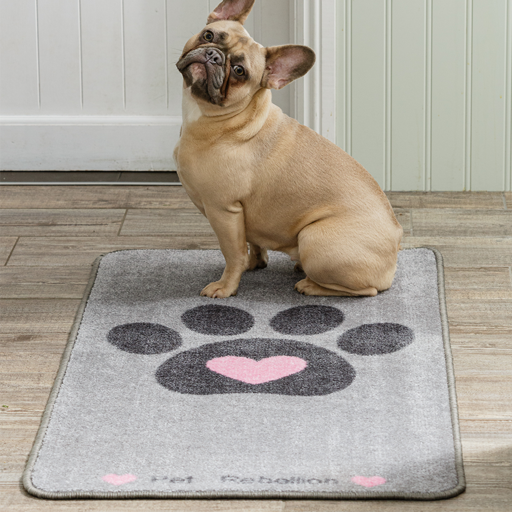 https://cdn.webshopapp.com/shops/250002/files/319062479/1652x1652x2/pet-rebellion-stop-muddy-paws-big-paws-floor-mat-h.jpg