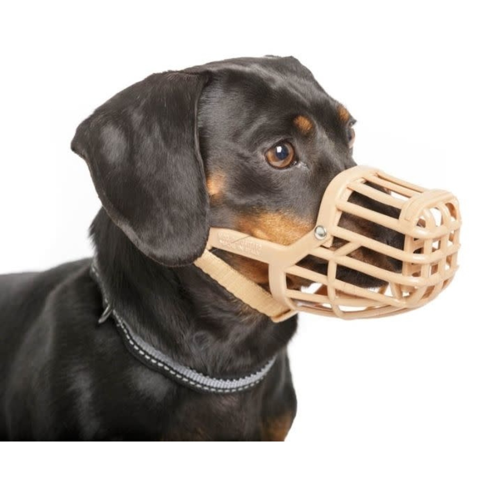 Company of Animals Baskerville Classic Plastic Dog Muzzle