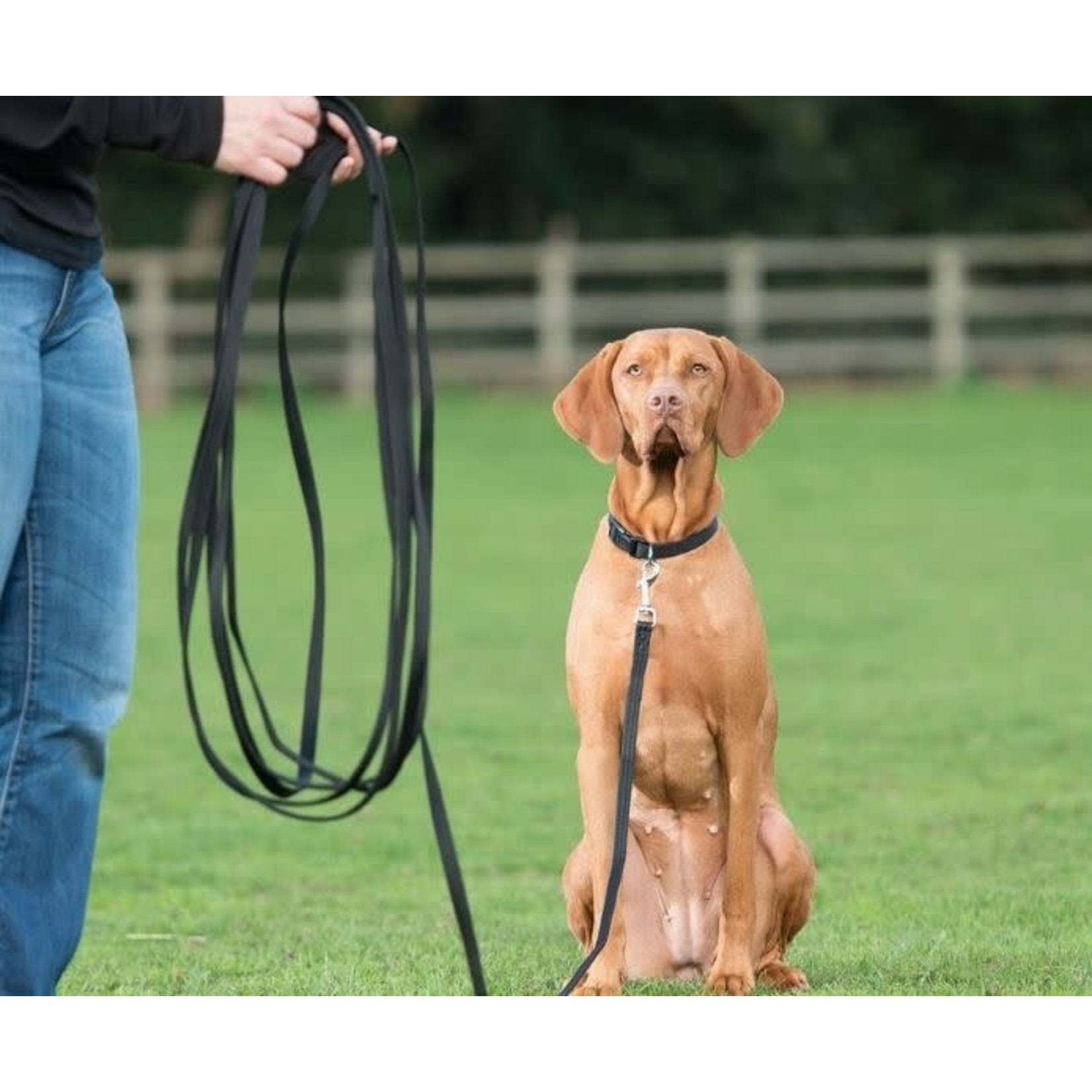 Company of Animals Dog Training Recall Long Line