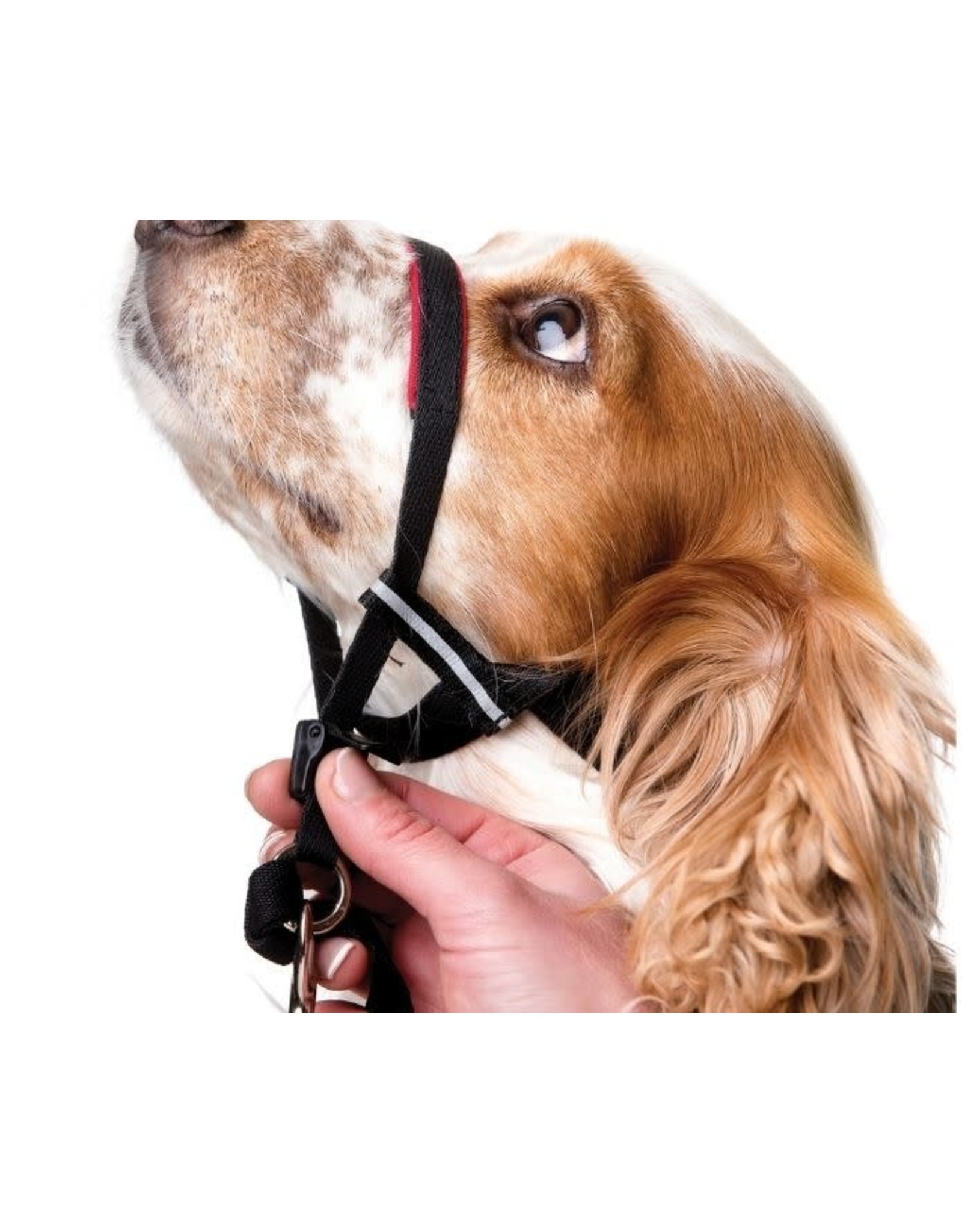 Halti Dog Optifit Headcollar Pet Care By Post