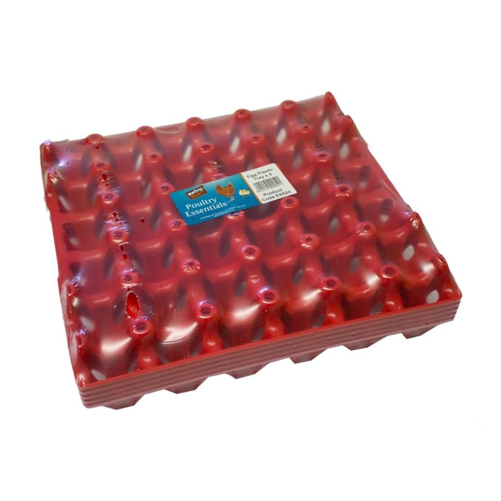 Extra Select Plastic Egg Tray, takes 30 Eggs