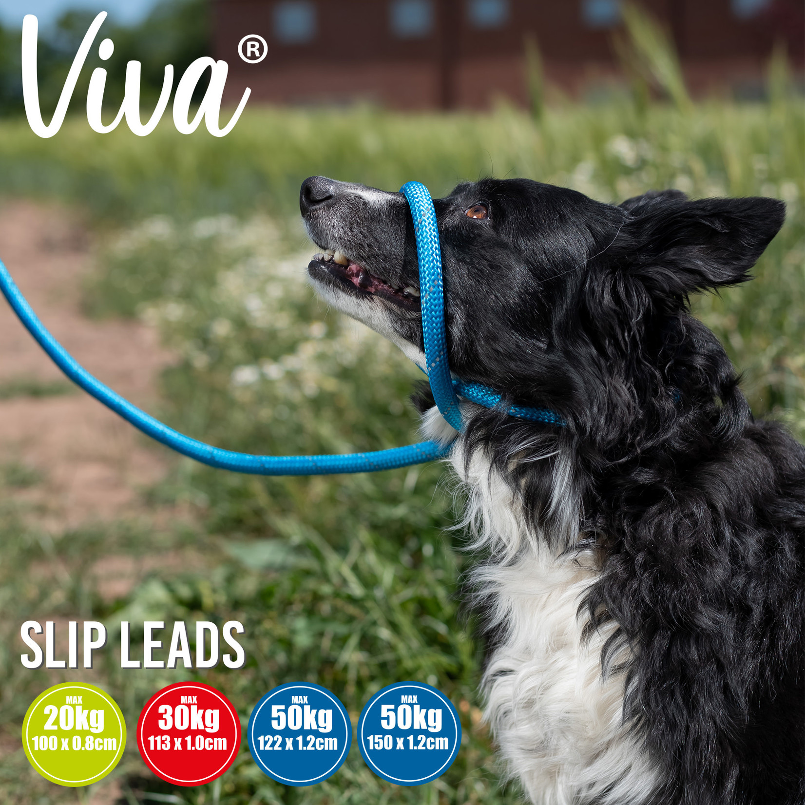 Ancol Viva Reflective Rope Slip Dog Lead, 120 x 1cm