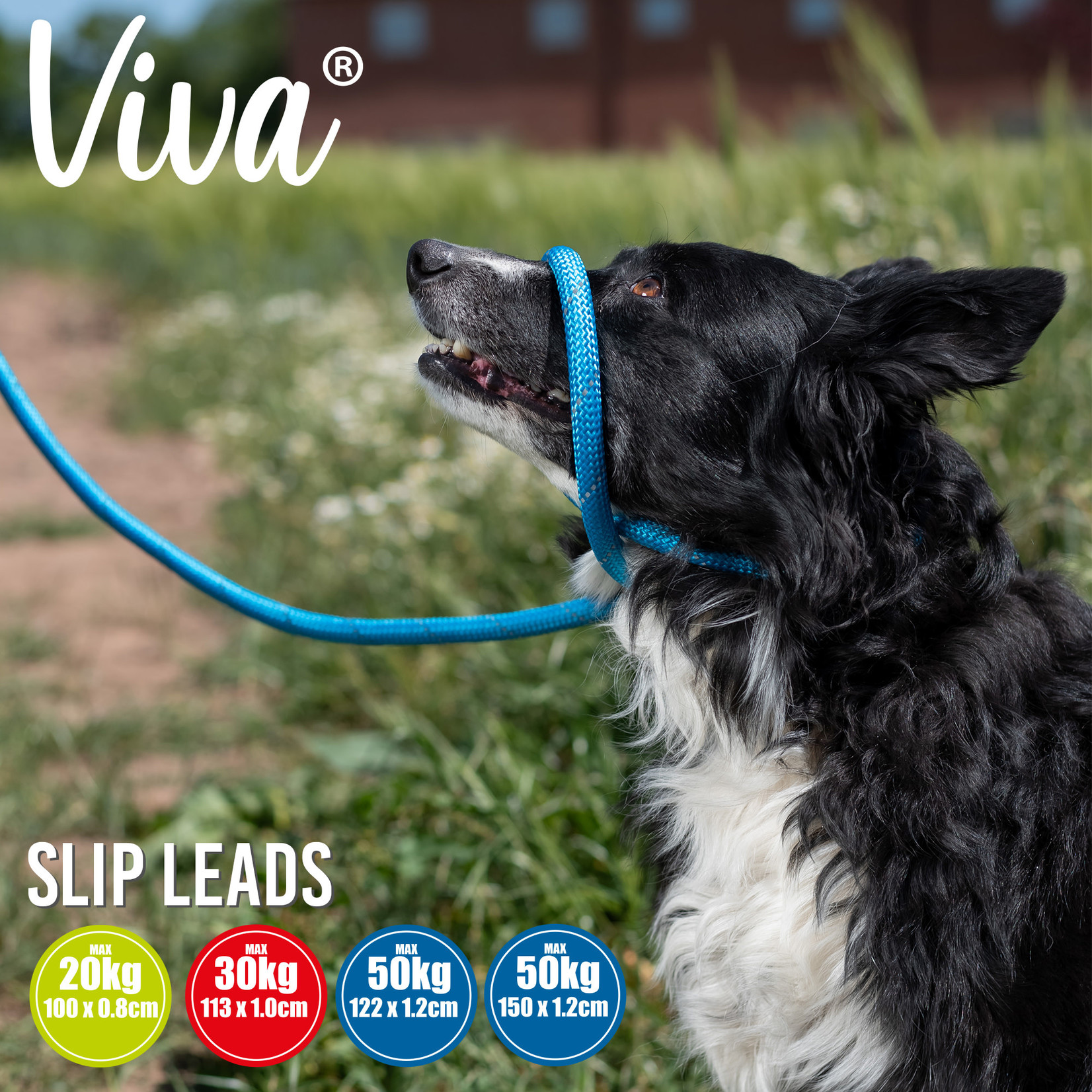 Ancol Viva Reflective Rope Slip Dog Lead, 150 x 0.8cm