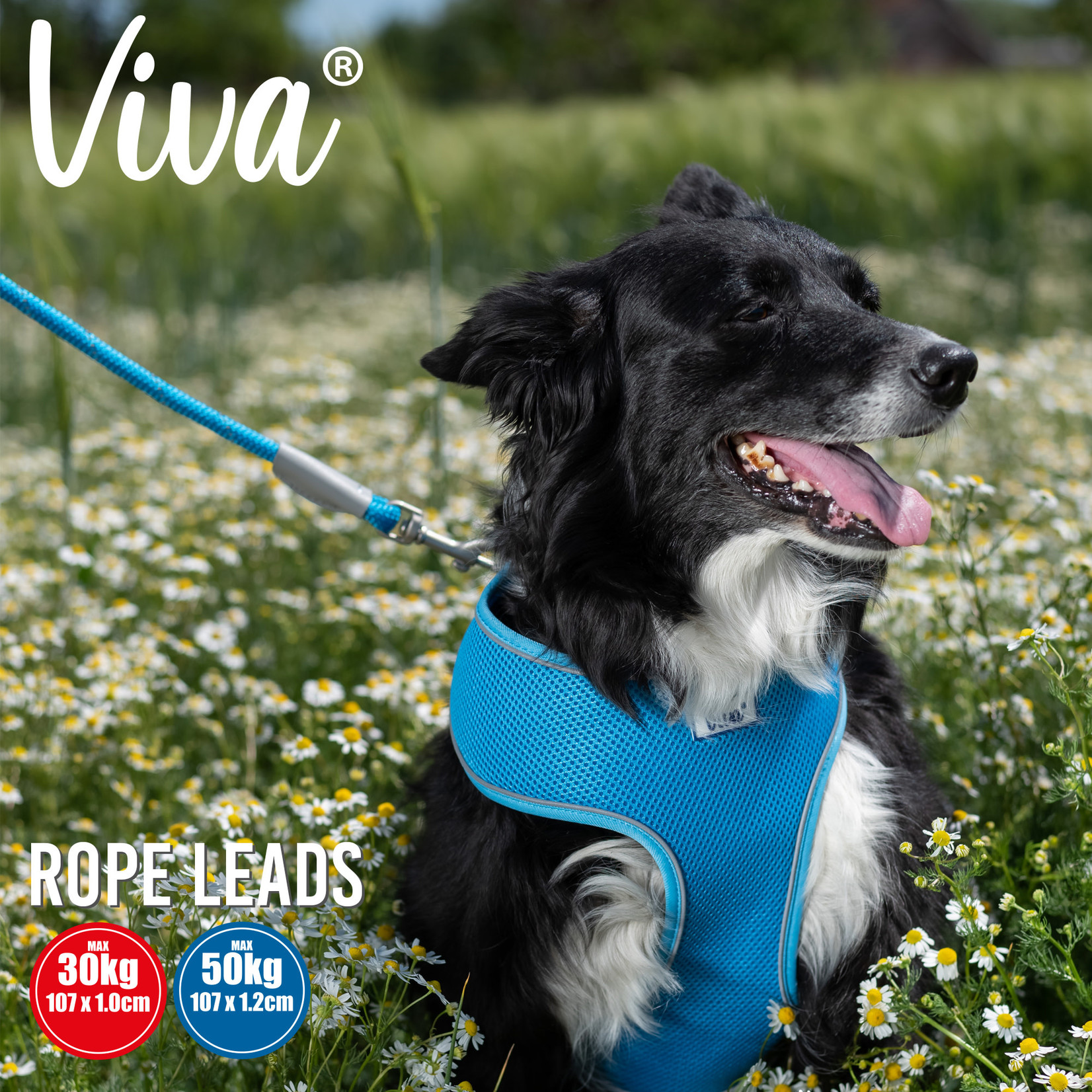 Ancol Viva Reflective Rope Dog Lead, 107 x 1.2cm