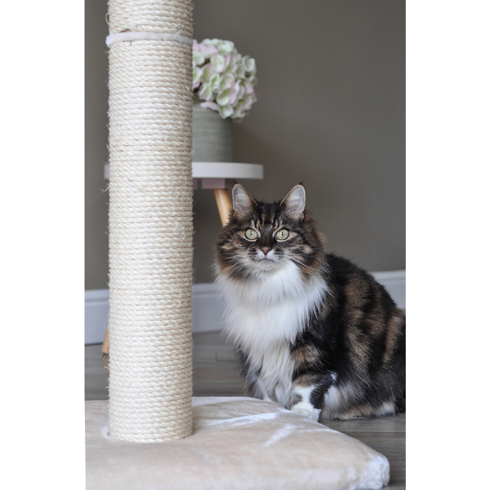 Zöon Deluxe Scratch Cat Scratching Post, 1m