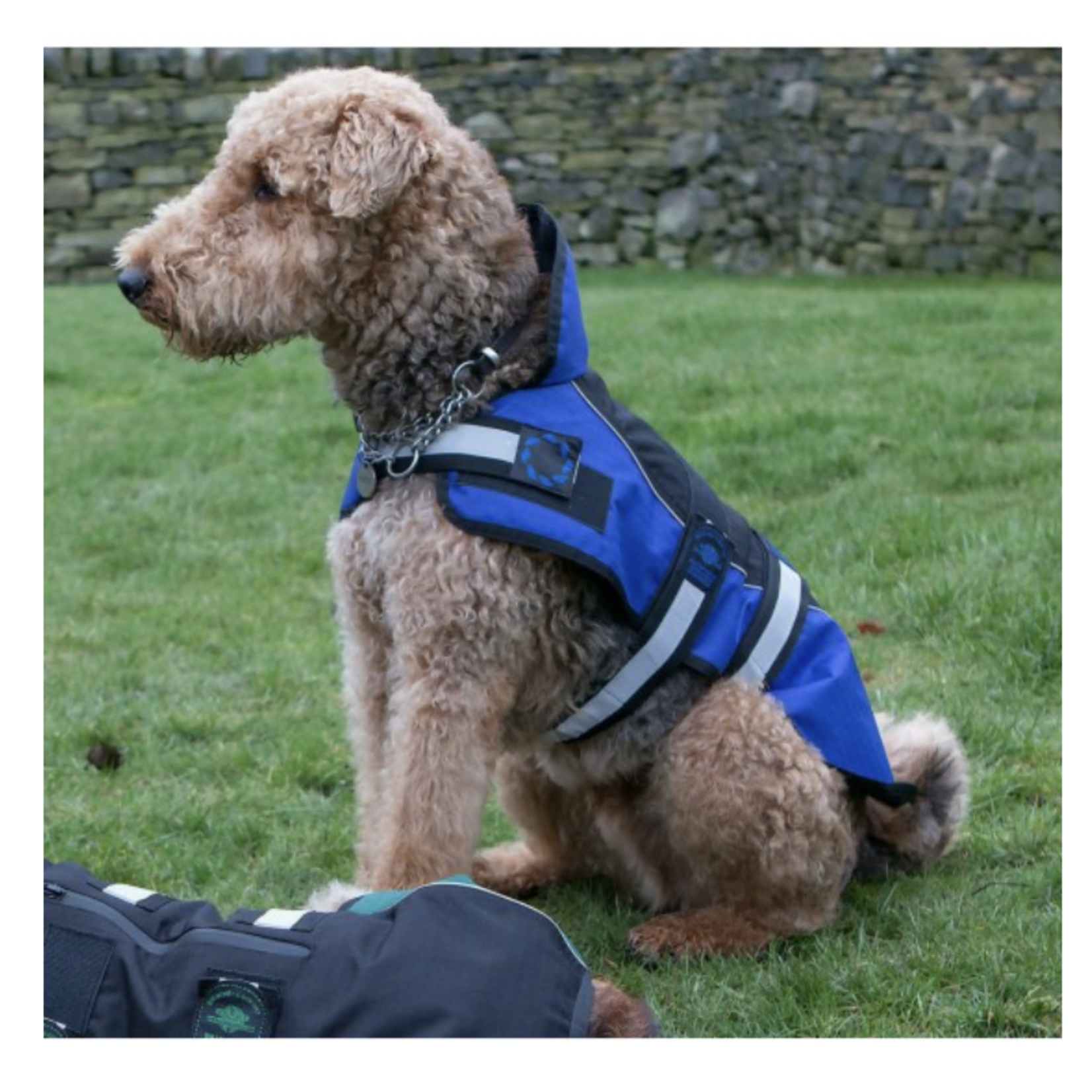 Animate Reflective Black & Blue Unpadded Harness Dog Coat plus Collar