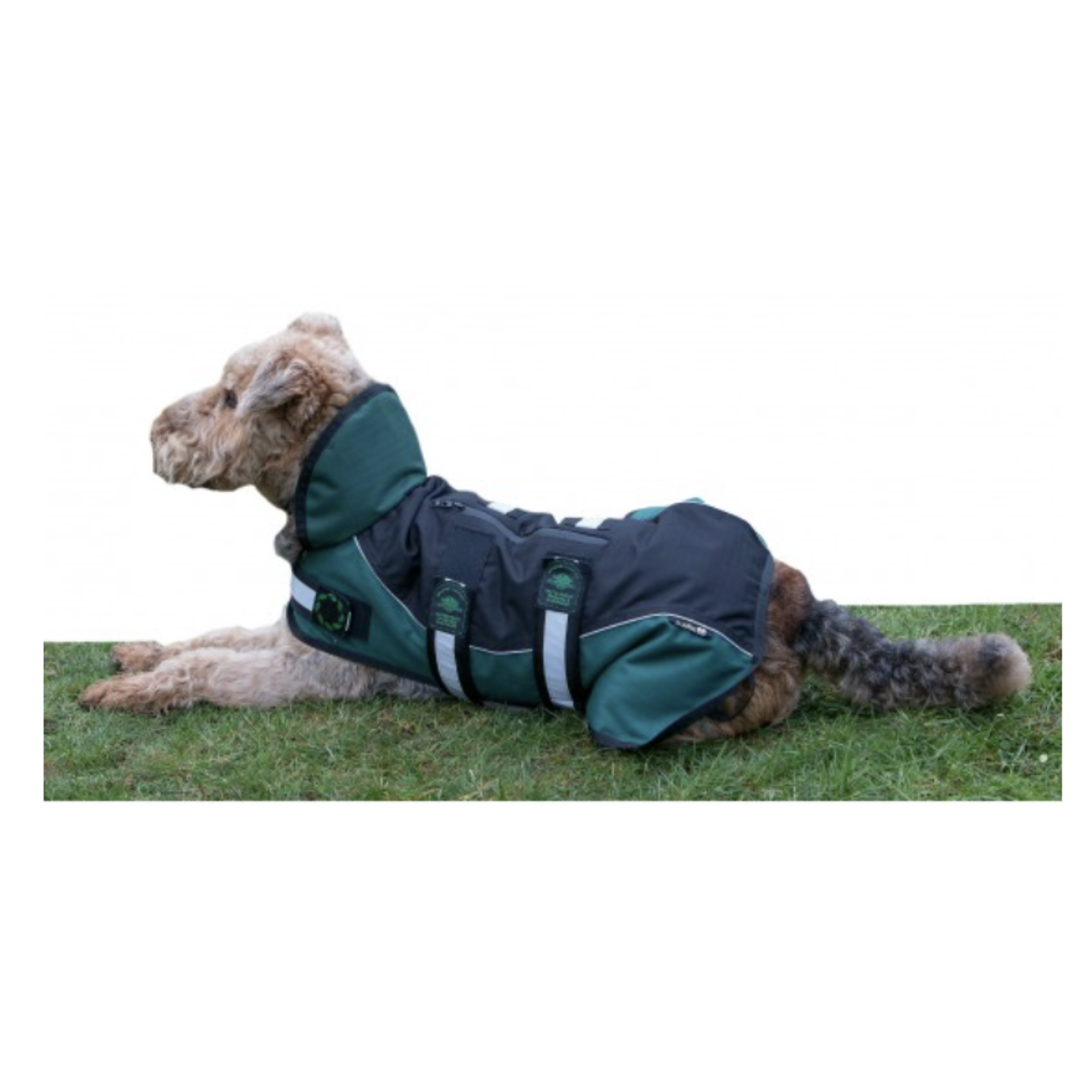 Animate Reflective Black & Green Unpadded Harness Dog Coat plus Collar