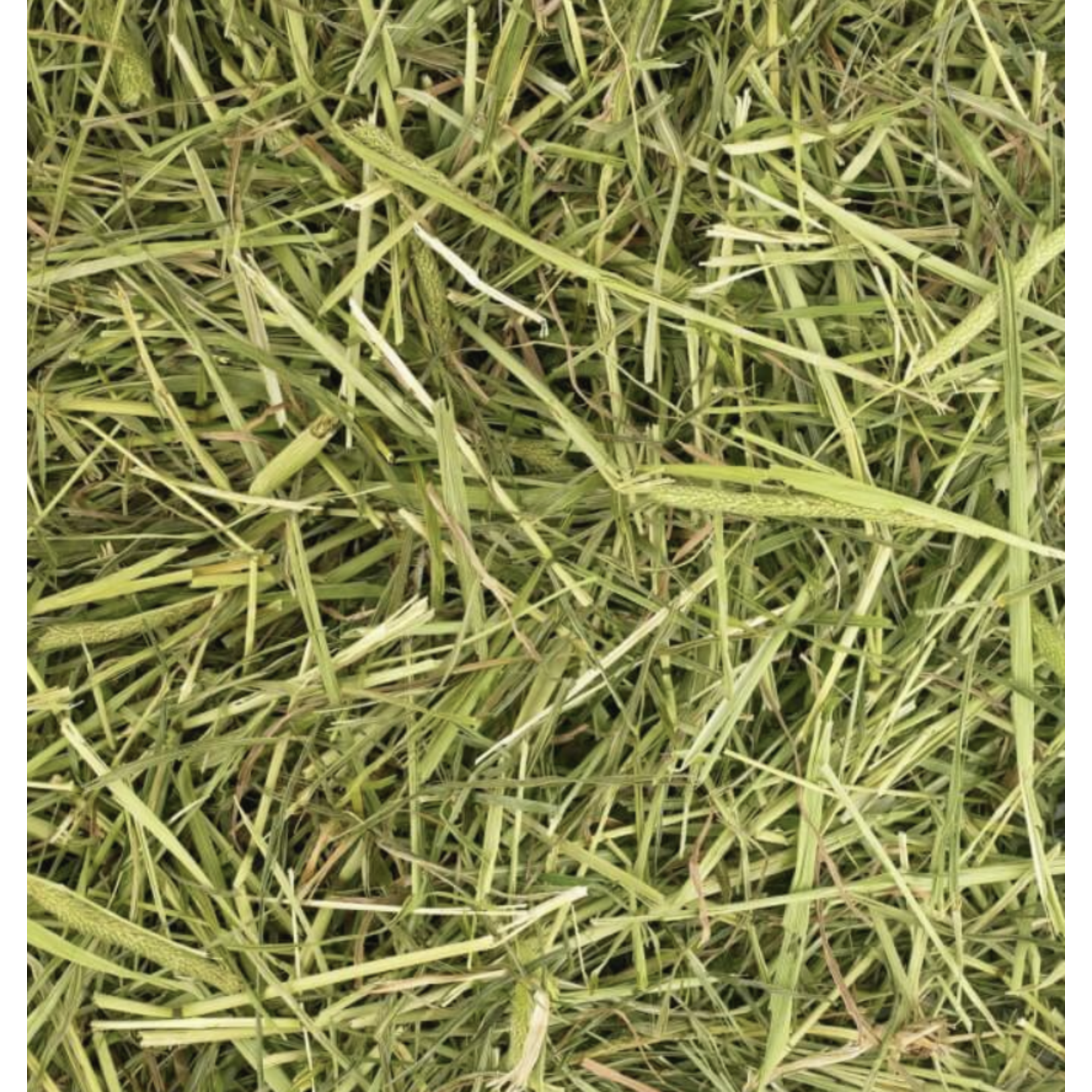 Friendly Timothy Readigrass Hay Feed for Small Animals, 1kg