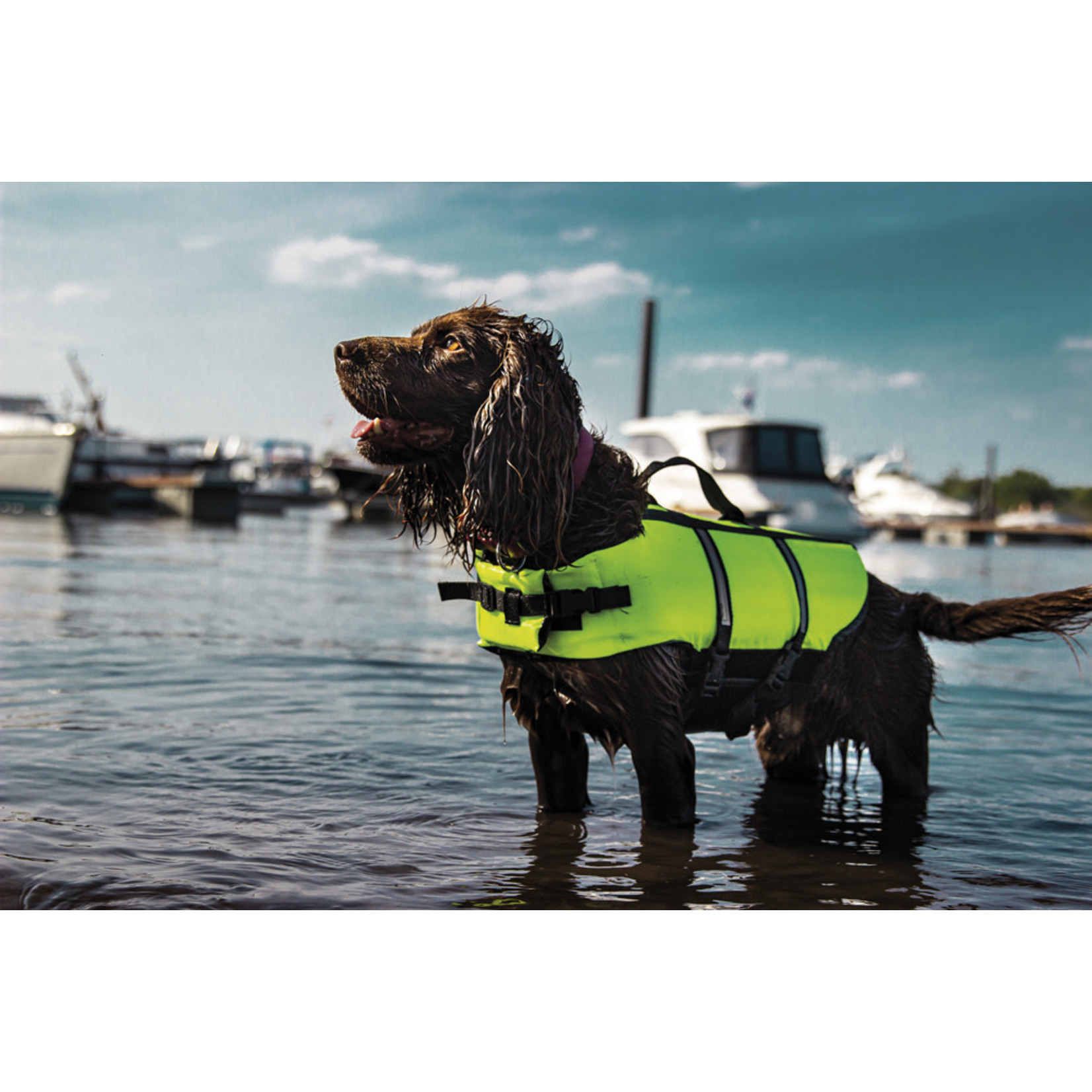 Nobby Dog Buoyancy Aid with Reflective Stripes, Neon Yellow