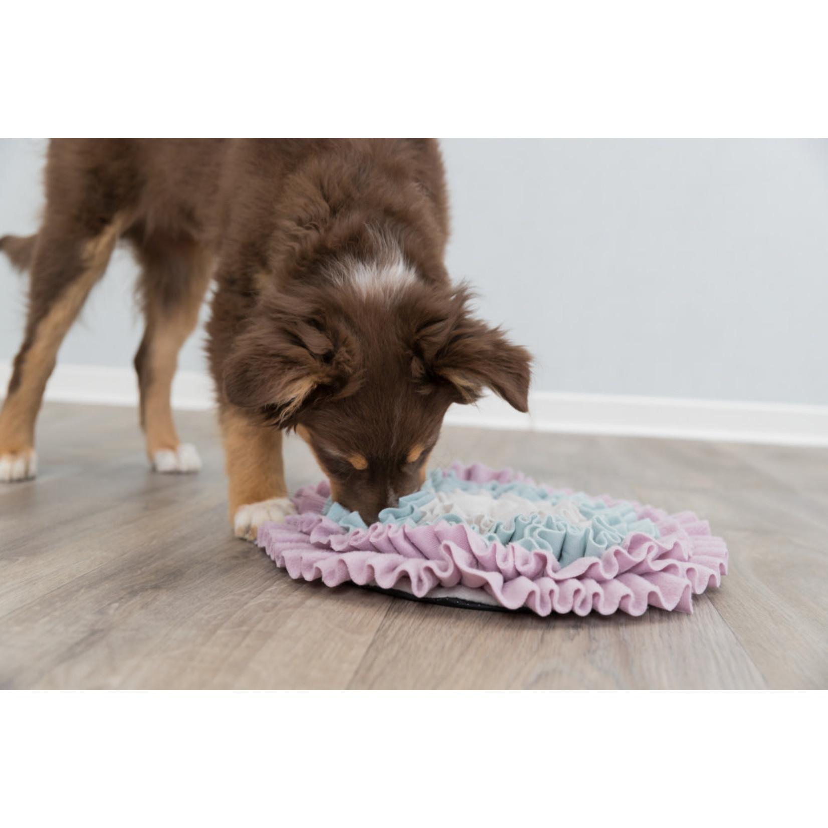 Trixie Sniffing Snuffle Mat for Puppies & Kittens, 38cm