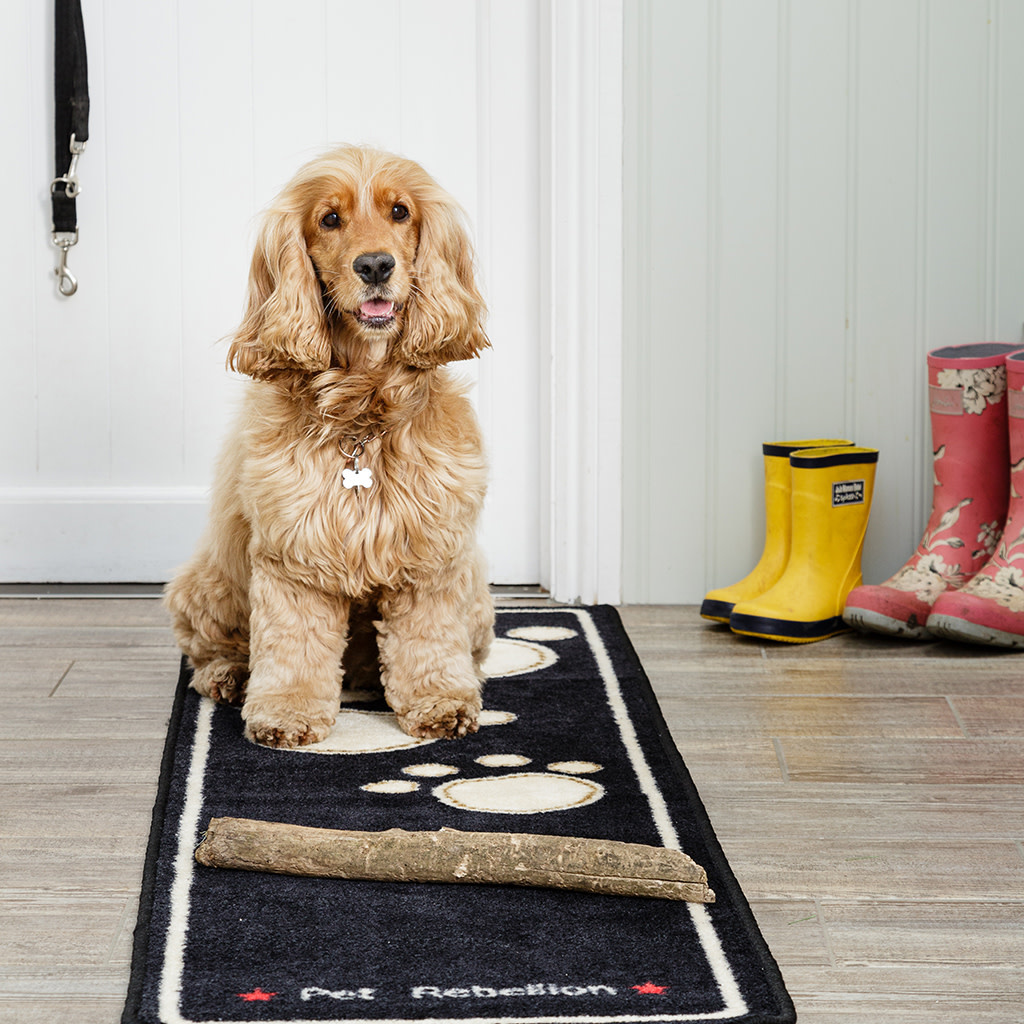 Stop Muddy Paws XL Biscuit Rug