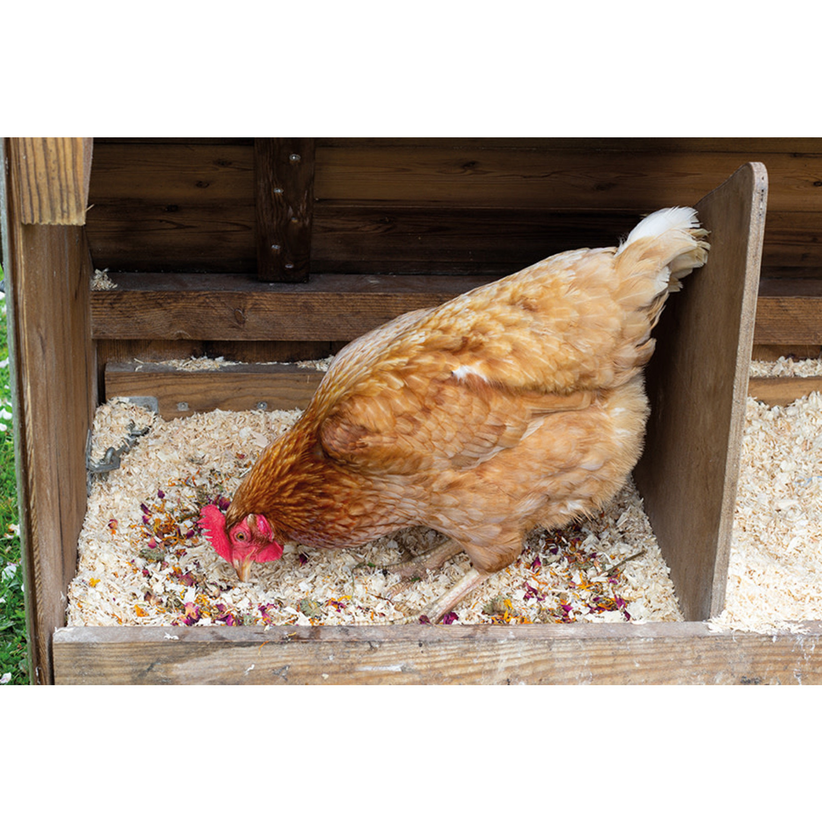 Rosewood Henny's Nest Confetti Treats for Chickens, 250g