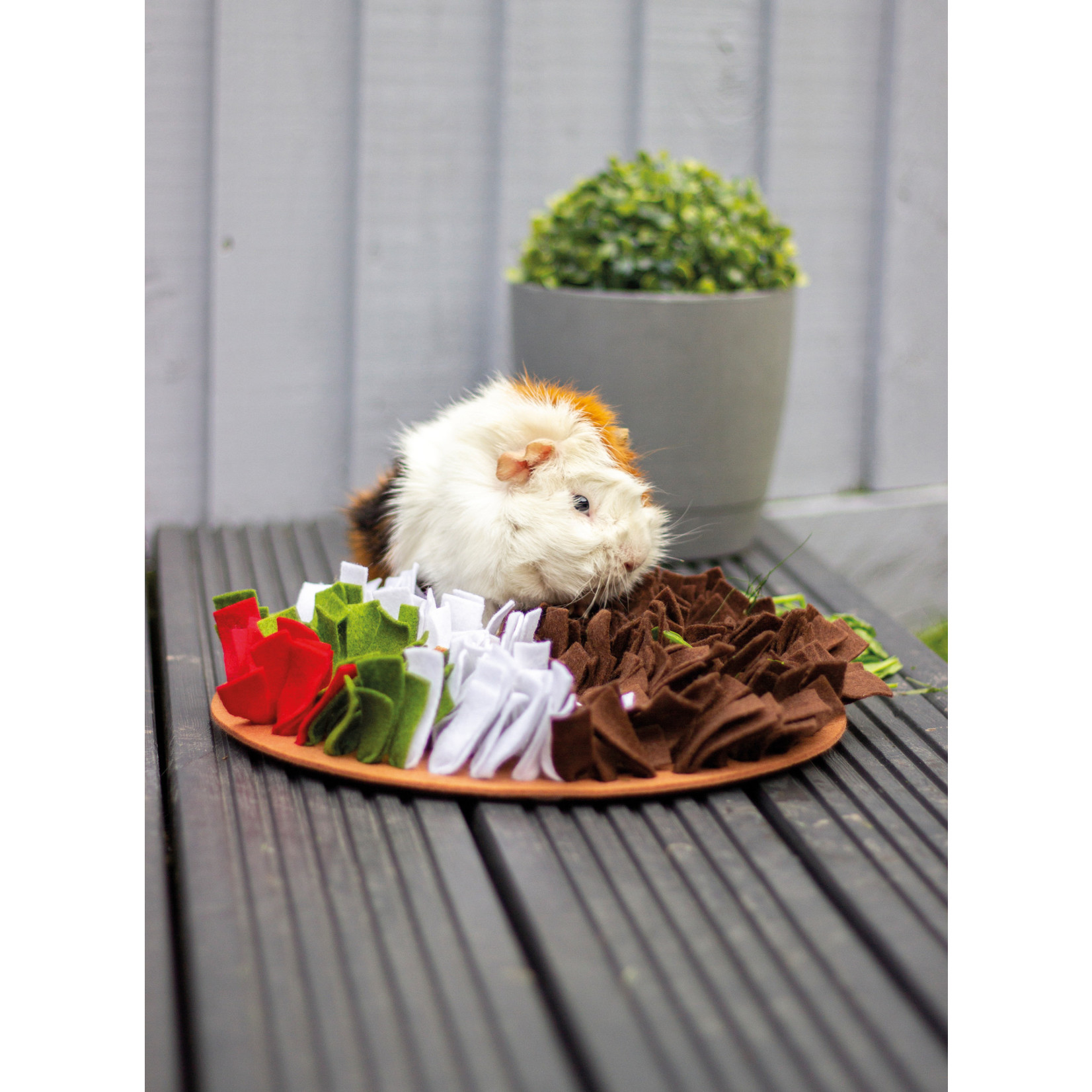 Rosewood Christmas Pudding Snuffle Small Animal Forage Mat