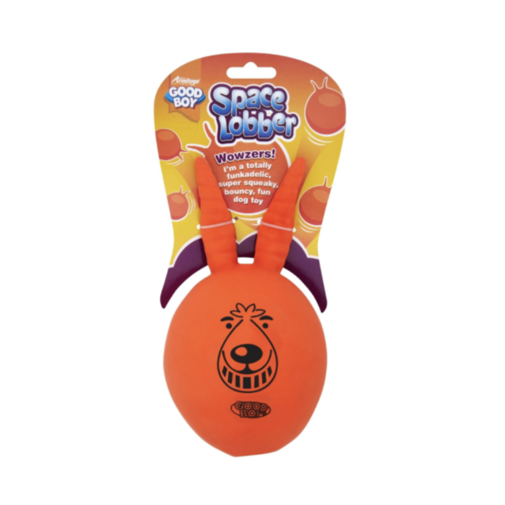 Good Boy Space Lobber Squeaky Bouncy Dog Toy,  23cm 9inch