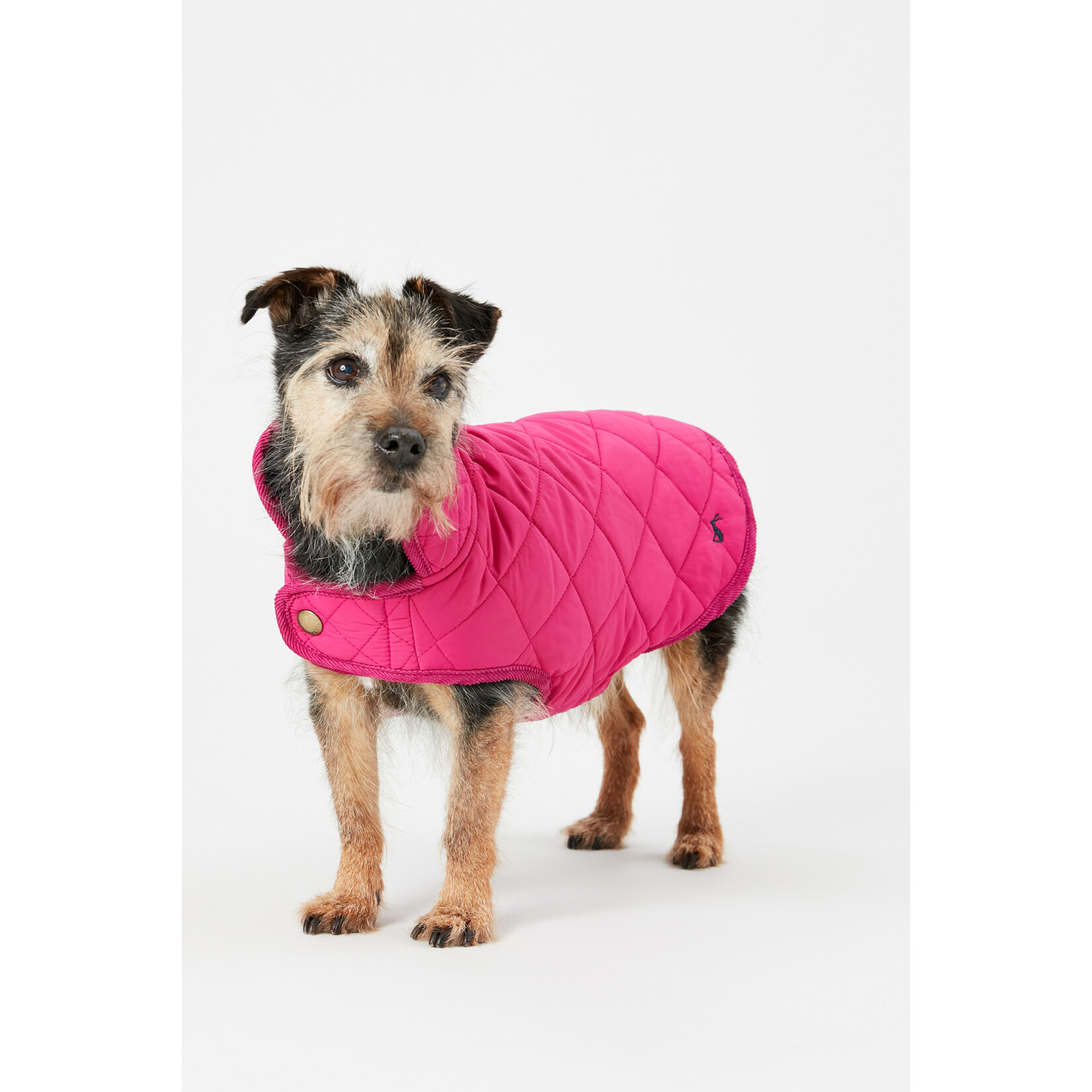 Coastal Collection Raspberry Quilted Dog Coat