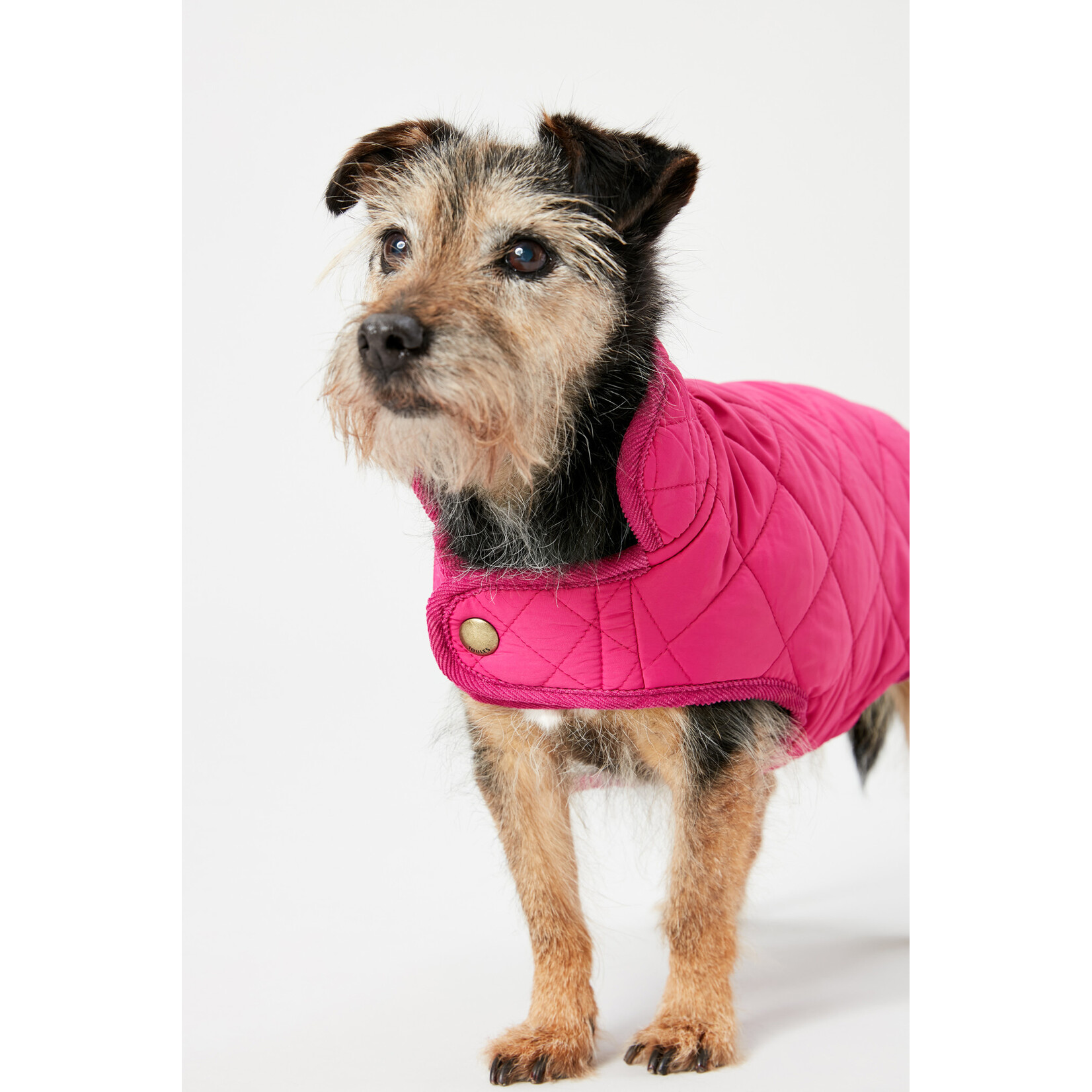 Coastal Collection Raspberry Quilted Dog Coat