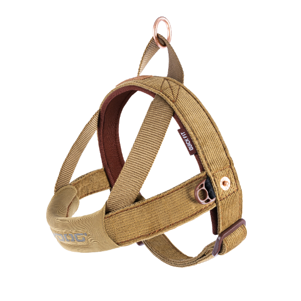 Fitting top ezydog harness