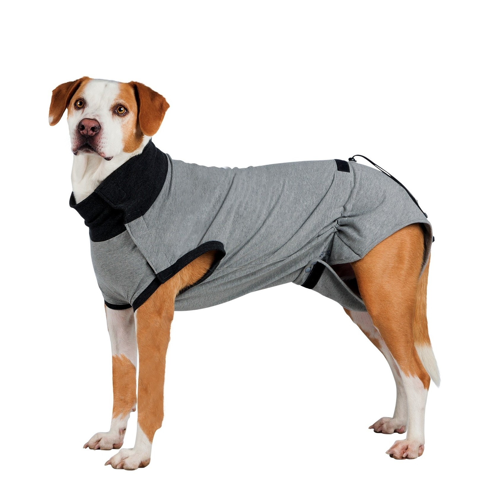 Trixie Protective Body Hygiene Grey Dog Vest