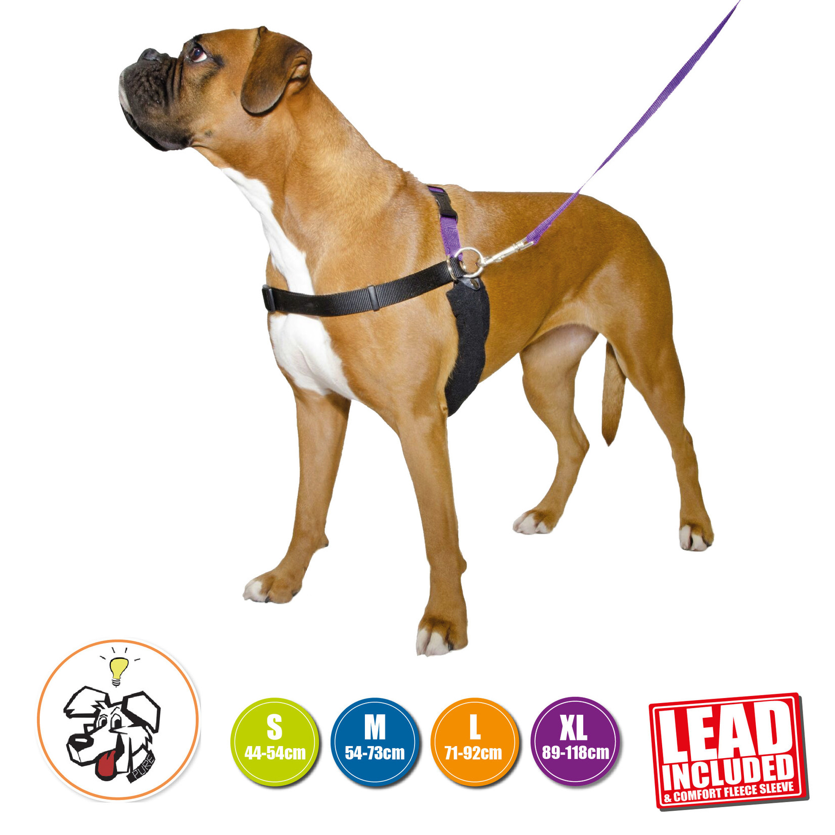 Ancol PURE Dog Listeners Happy At Heel Harness And Lead Set with DVD
