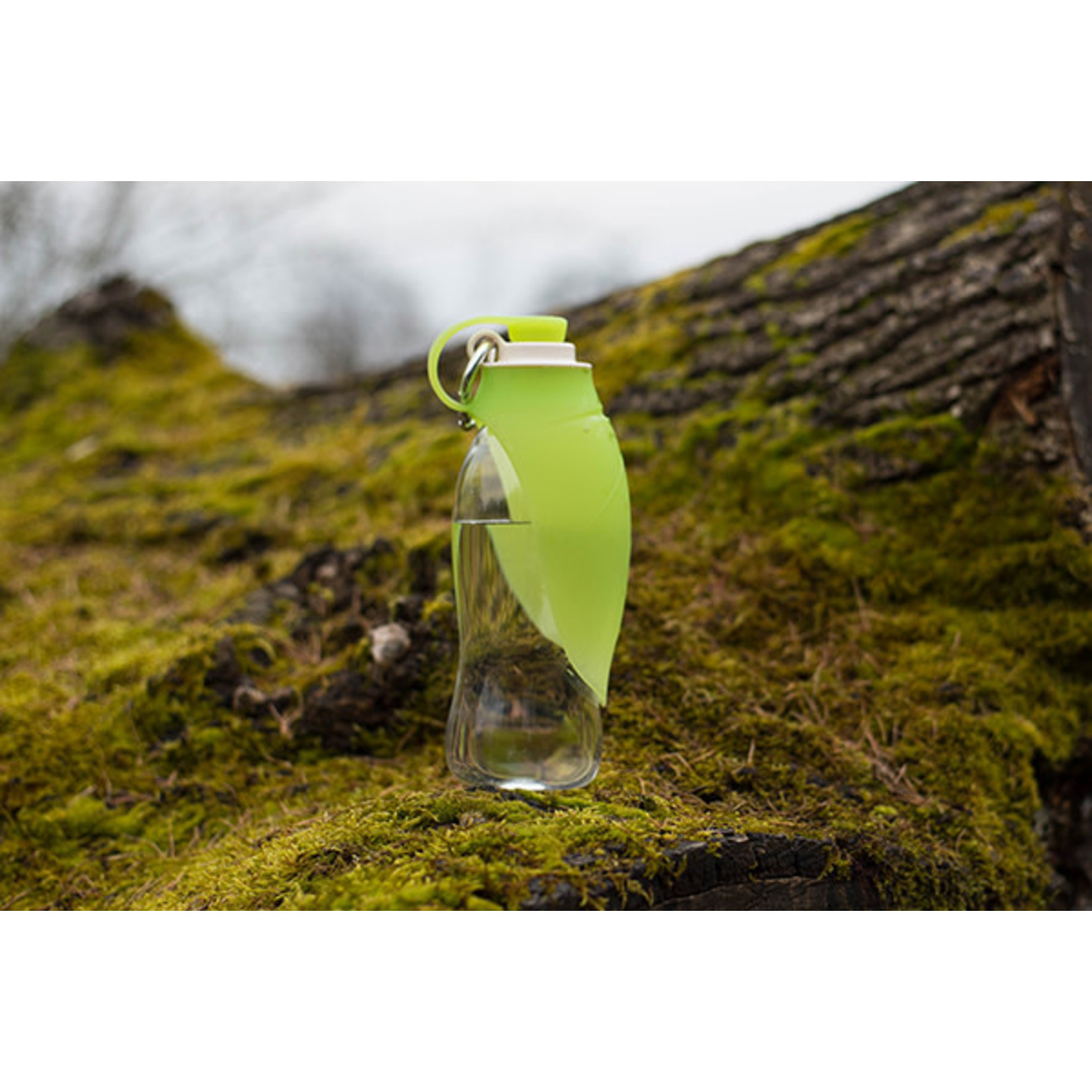 Rosewood Portable Leaf Travel Bottle