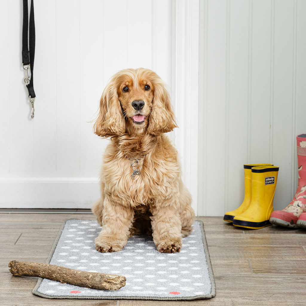 Pet Rebellion Barrier Rug Stop Muddy Paws Grey - Petsonline