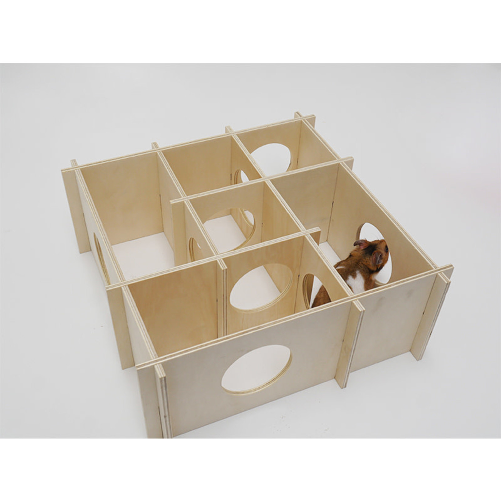 https://cdn.webshopapp.com/shops/250002/files/411359019/1652x1652x2/rosewood-boredom-breakers-hamster-fun-maze-small-a.jpg