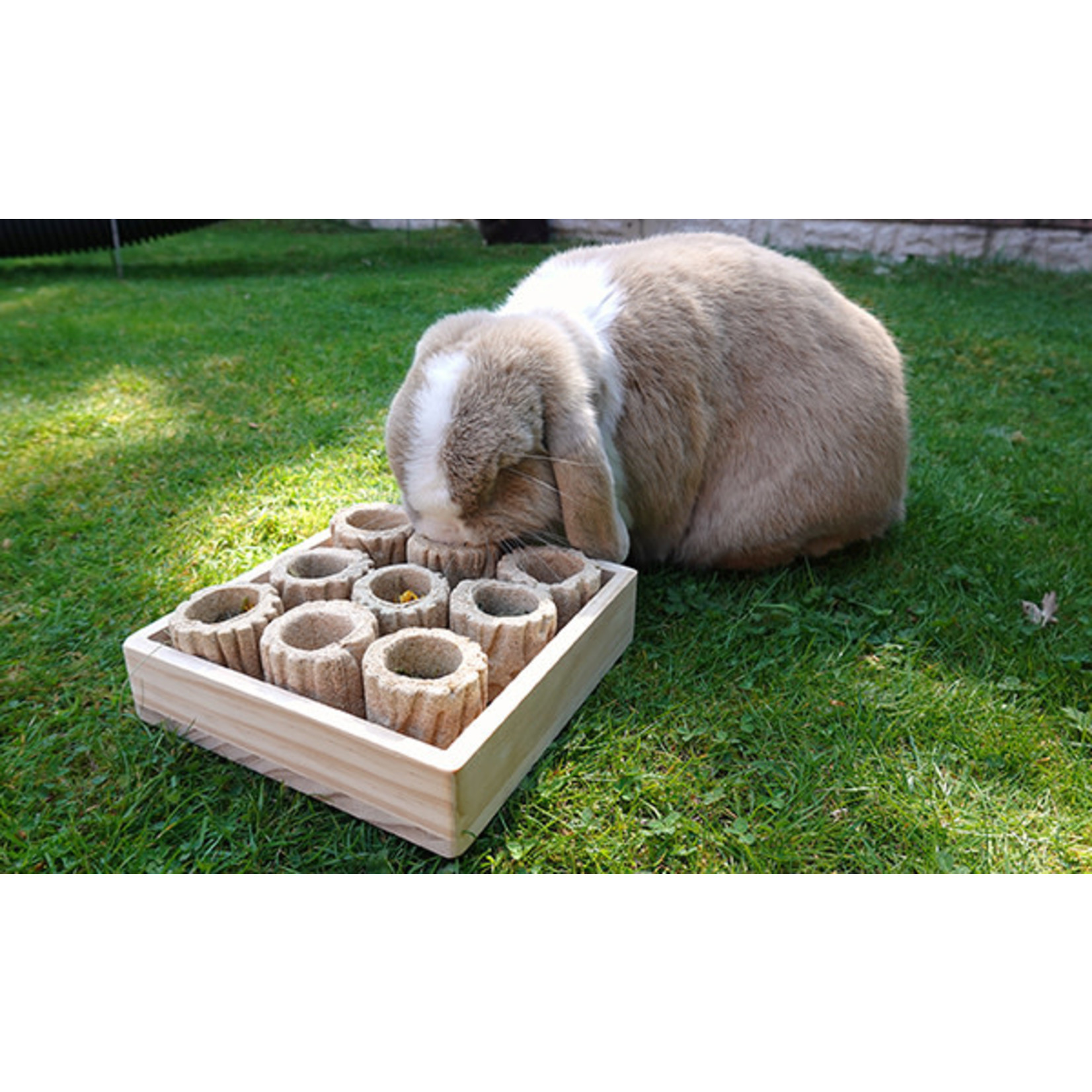 Rosewood Boredom Breakers Hide 'n' Treat Forage Tray Small Animal Toy