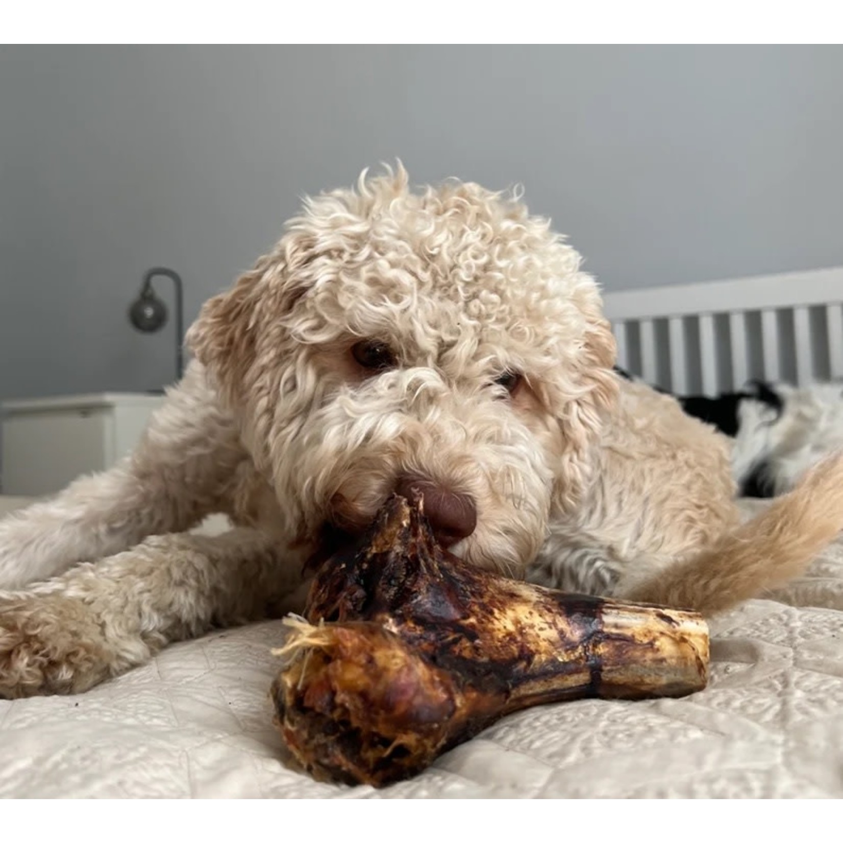 jr pet products Ostrich Knuckle Bone Dog Treat
