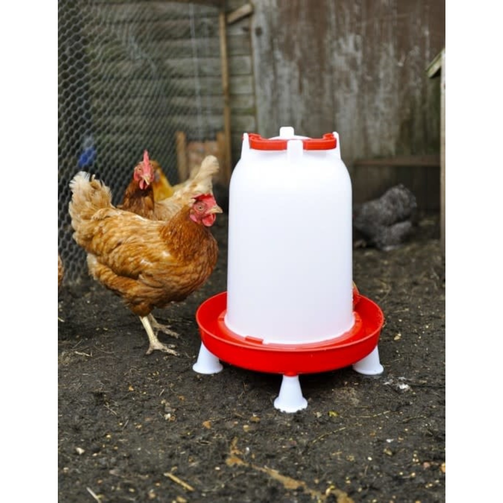 Supa Deluxe Heavy Duty Red & White Plastic Poultry Drinker, 12 litre