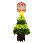 Rosewood Christmas Tree Pet Snuffle Forage Mat