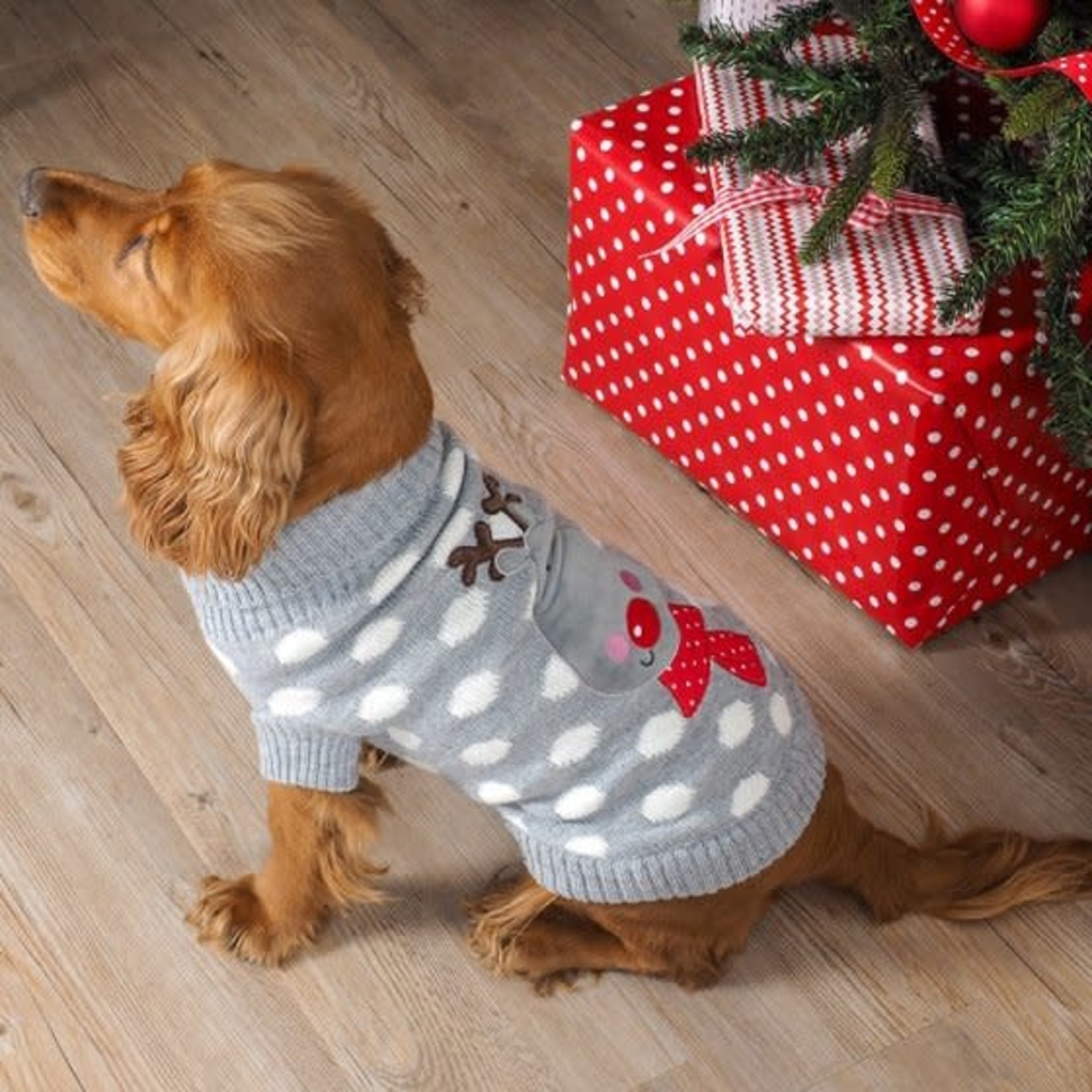 Zöon Christmas Polka Rudolph Dog Jumper