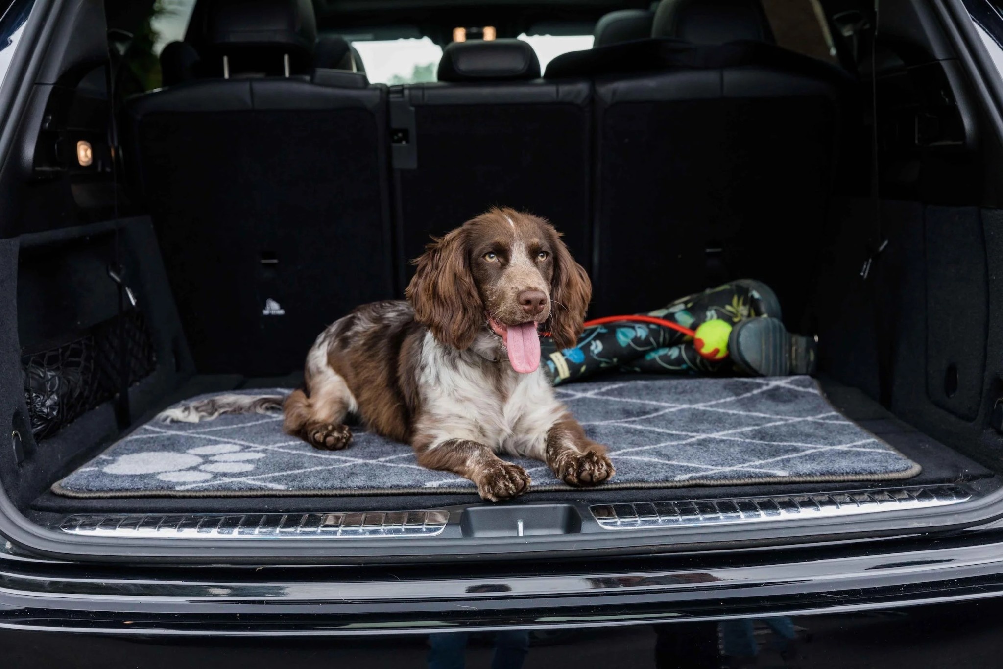 Boot Mate Pet Mat, Trellis 67 x 100cm - Pet Care By Post