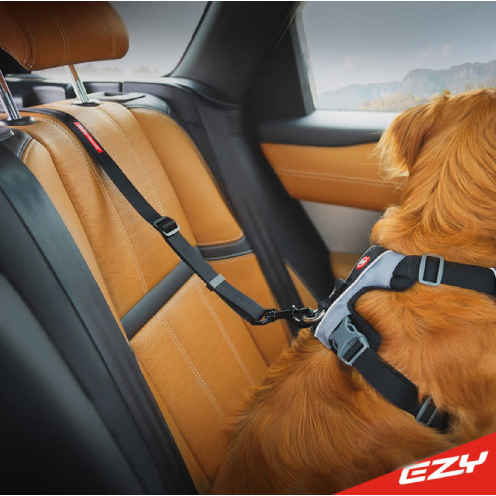 EzyDog ISOFIX Click Dog Seat Belt Car Restraint, Cargo 60-100cm