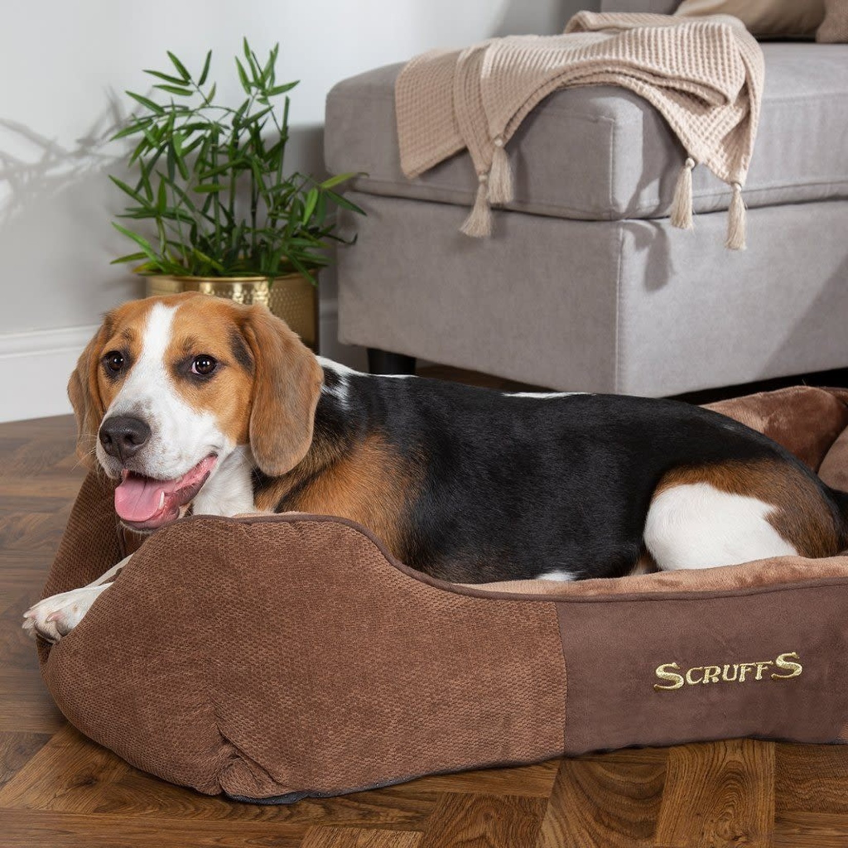 Scruffs Chester Box Dog Bed, Chocolate Brown