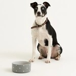 Mason Cash Polka Dot Grey Pet Bowl, 18cm