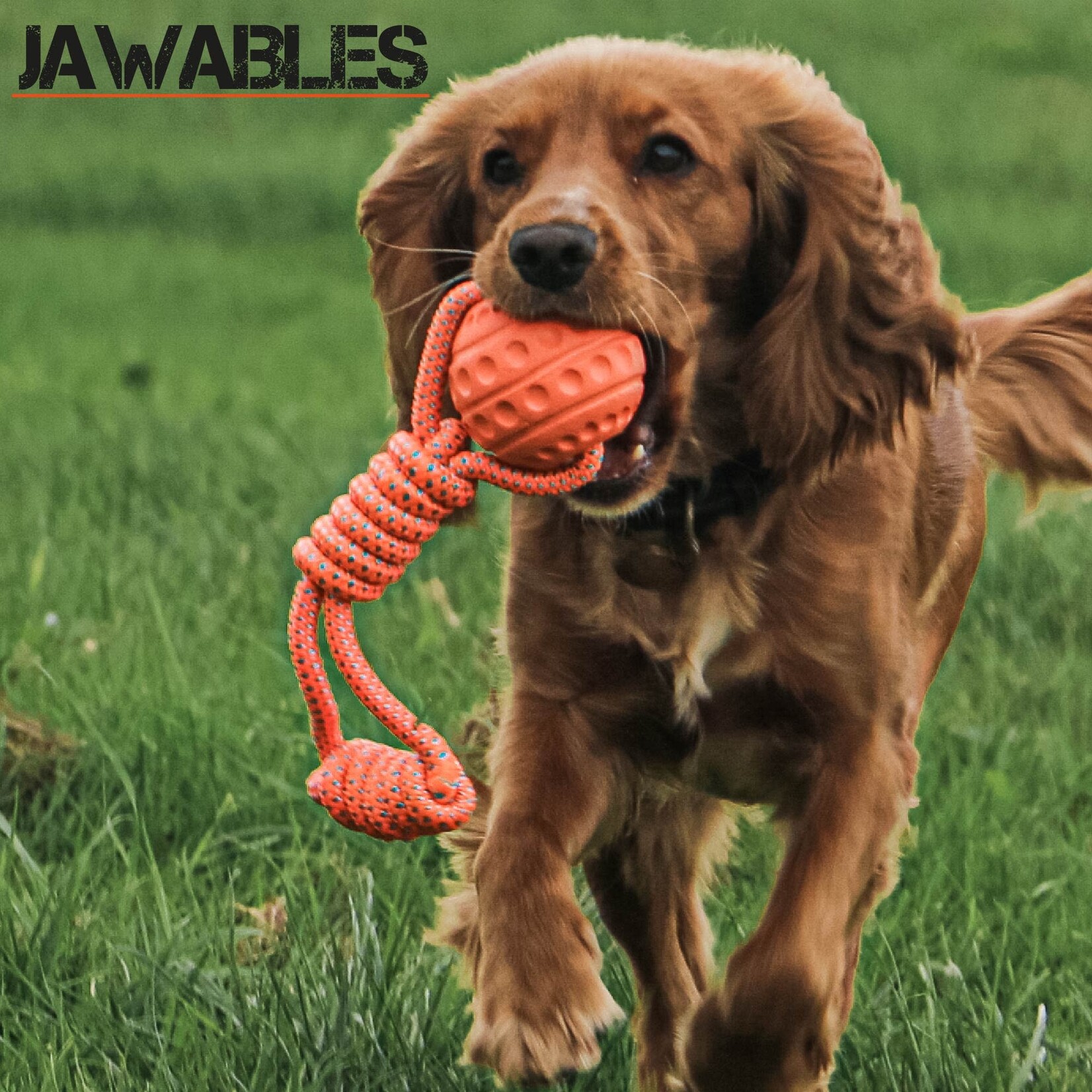 Ancol Jawables Ball Tug Floating Dog Toy