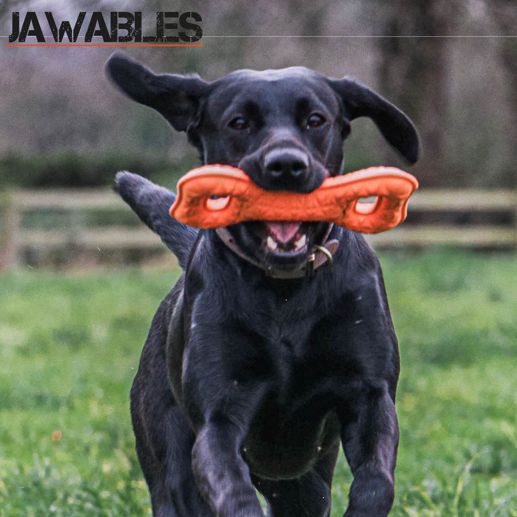 Ancol Jawables Tugger Floating Dog Toy