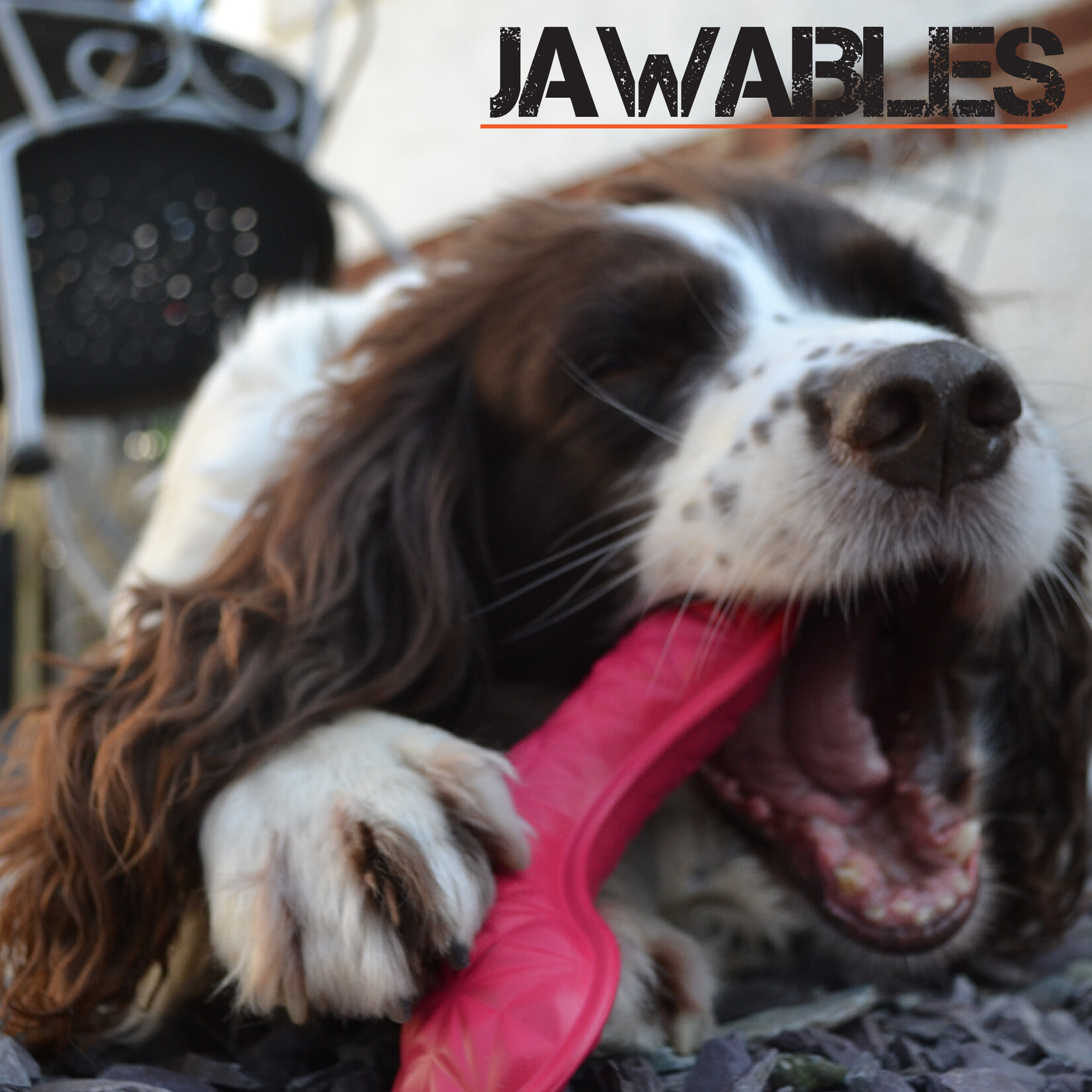 Ancol Jawables Tri-Star Floating Dog Toy