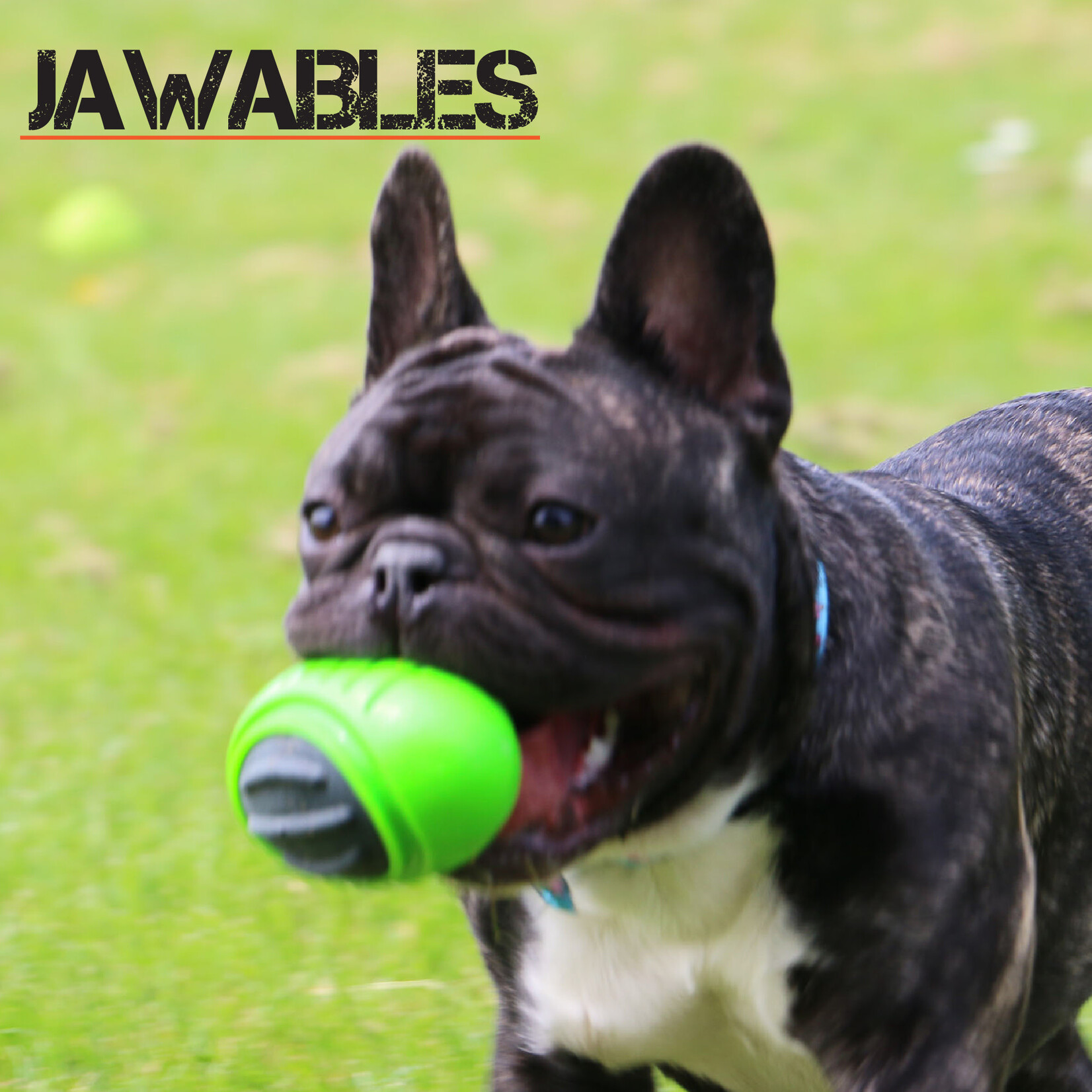 Ancol Jawables Tough Rugby Ball Floating Retrieval Dog Toy