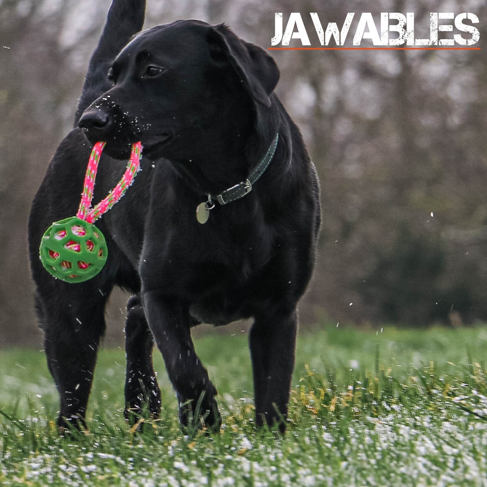 Ancol Jawables Frame Ball Floating Dog Toy