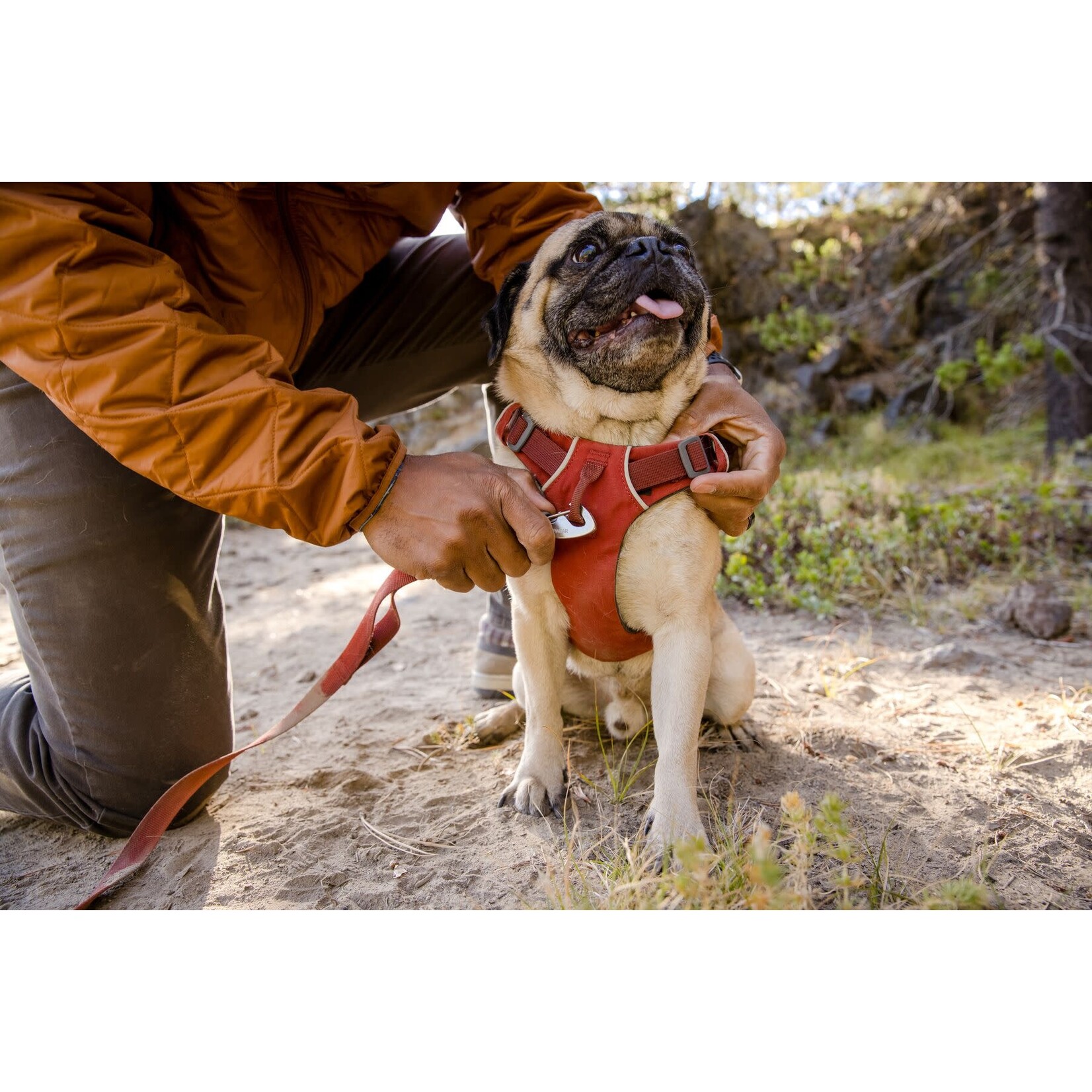 Ruffwear Front Range Leash Dog Lead, Red Clay, 1.5m x 20mm