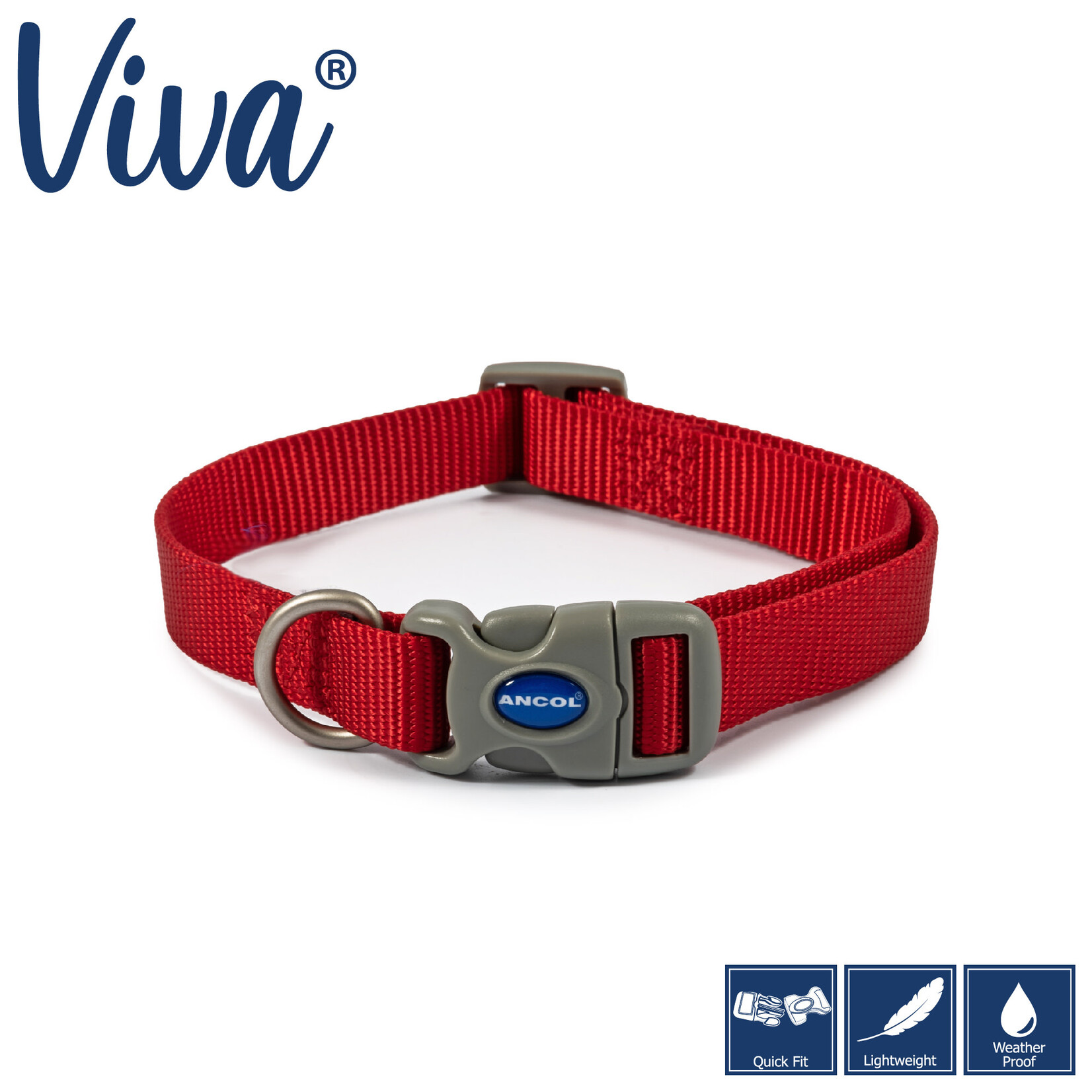 Lightweight puppy collar sales