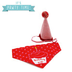 Ancol It's My Birthday Dog Bandana & Party Hat