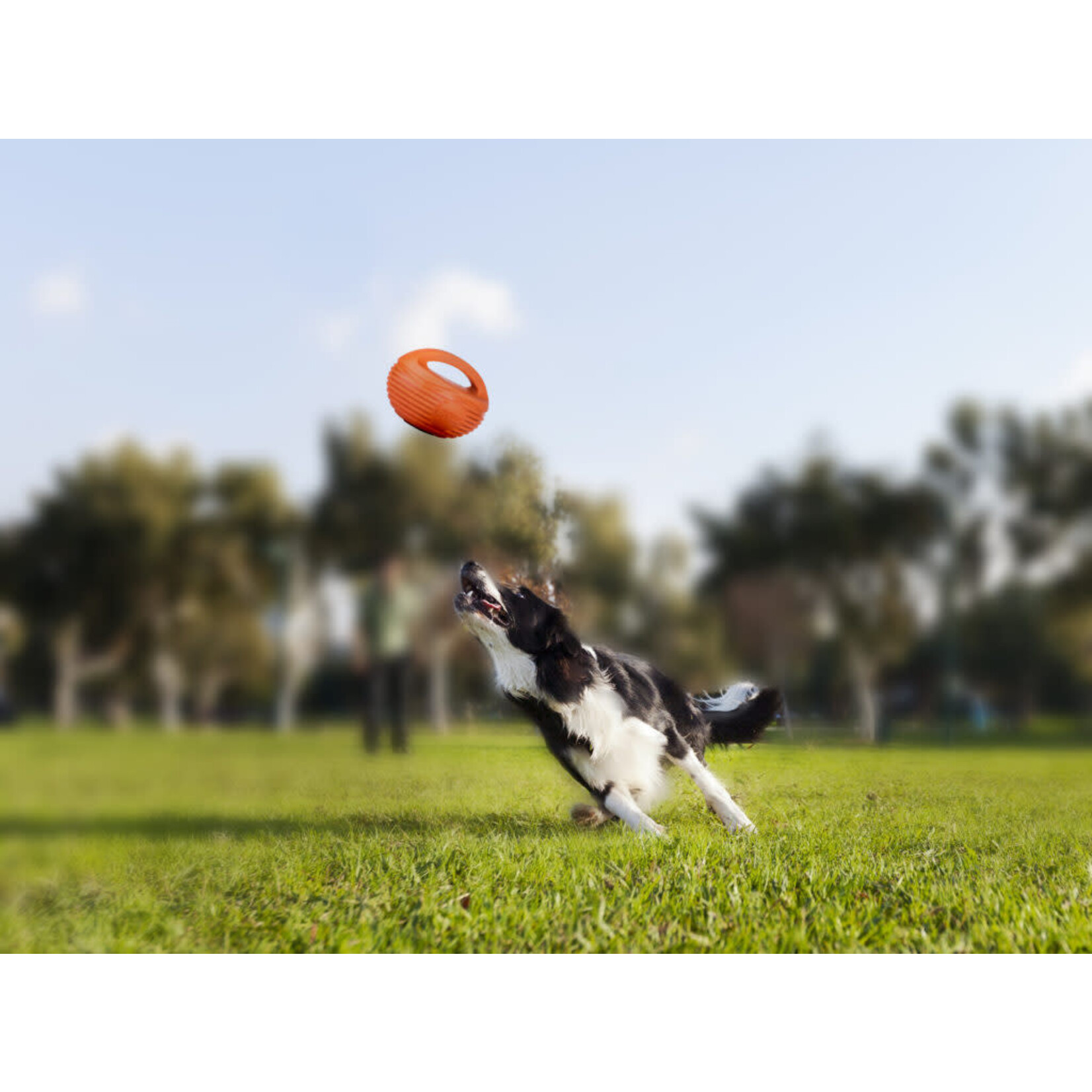 Doggi Rugby Ball Tough Bouncing Retrieval Orange Dog Toy