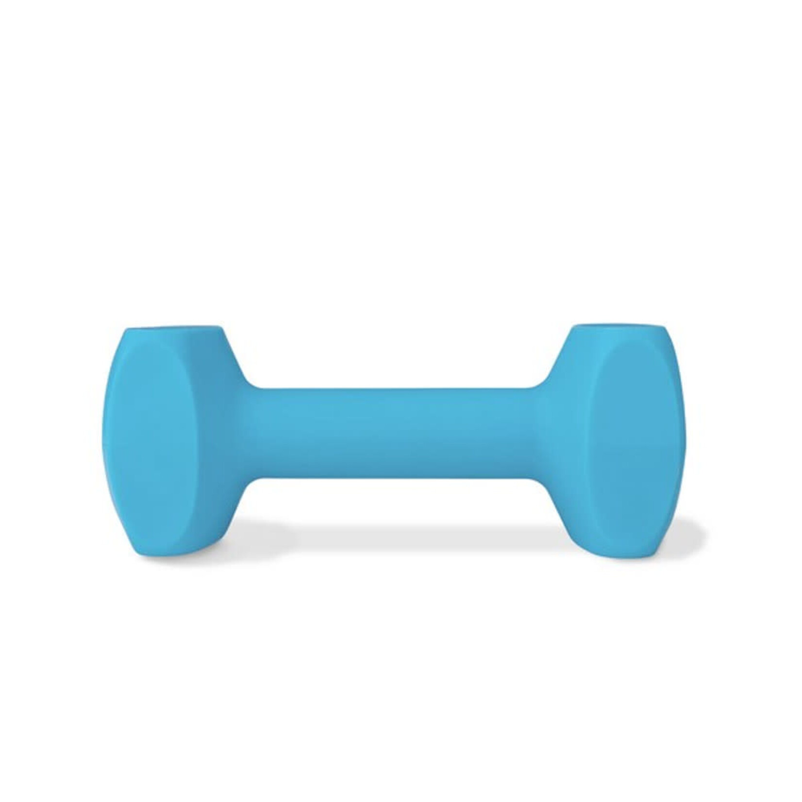 Company of Animals Coachi Dog Training Dumbbell in Light Blue, Large